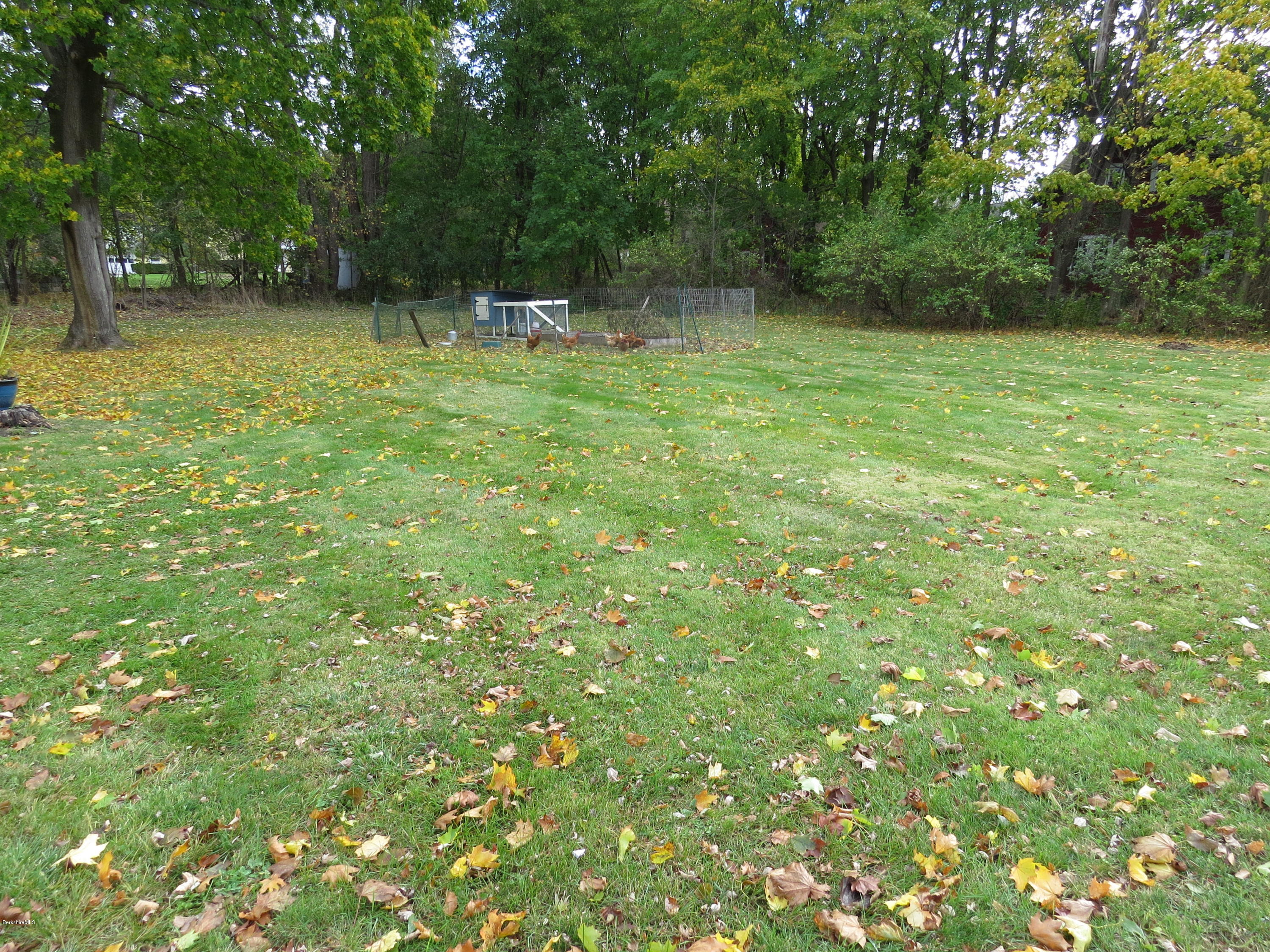 774 Simonds Road Williamstown, MA 01267 - Photo 18 of 26 Big Yard