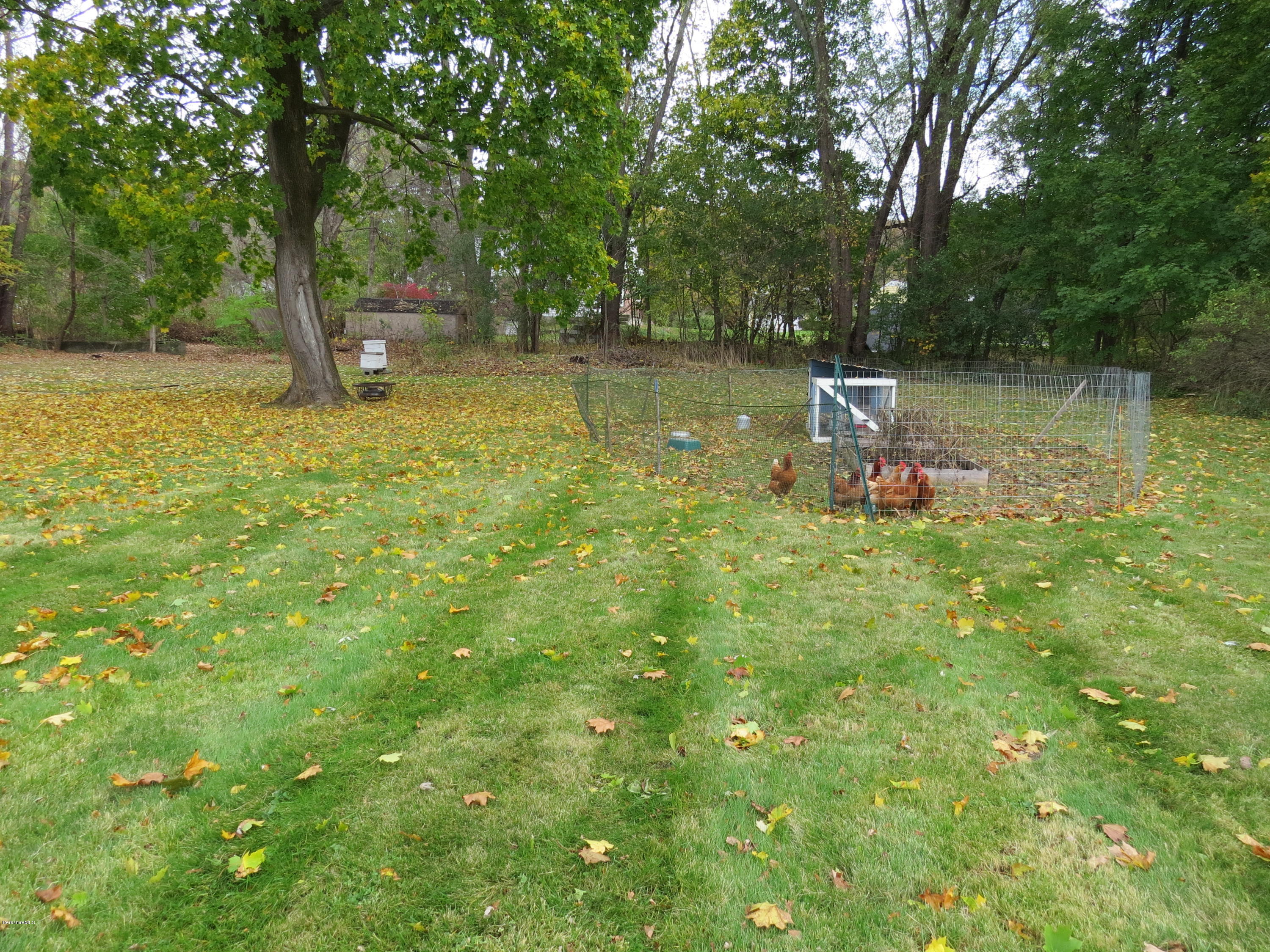 774 Simonds Road Williamstown, MA 01267 - Photo 19 of 26 Double Lot