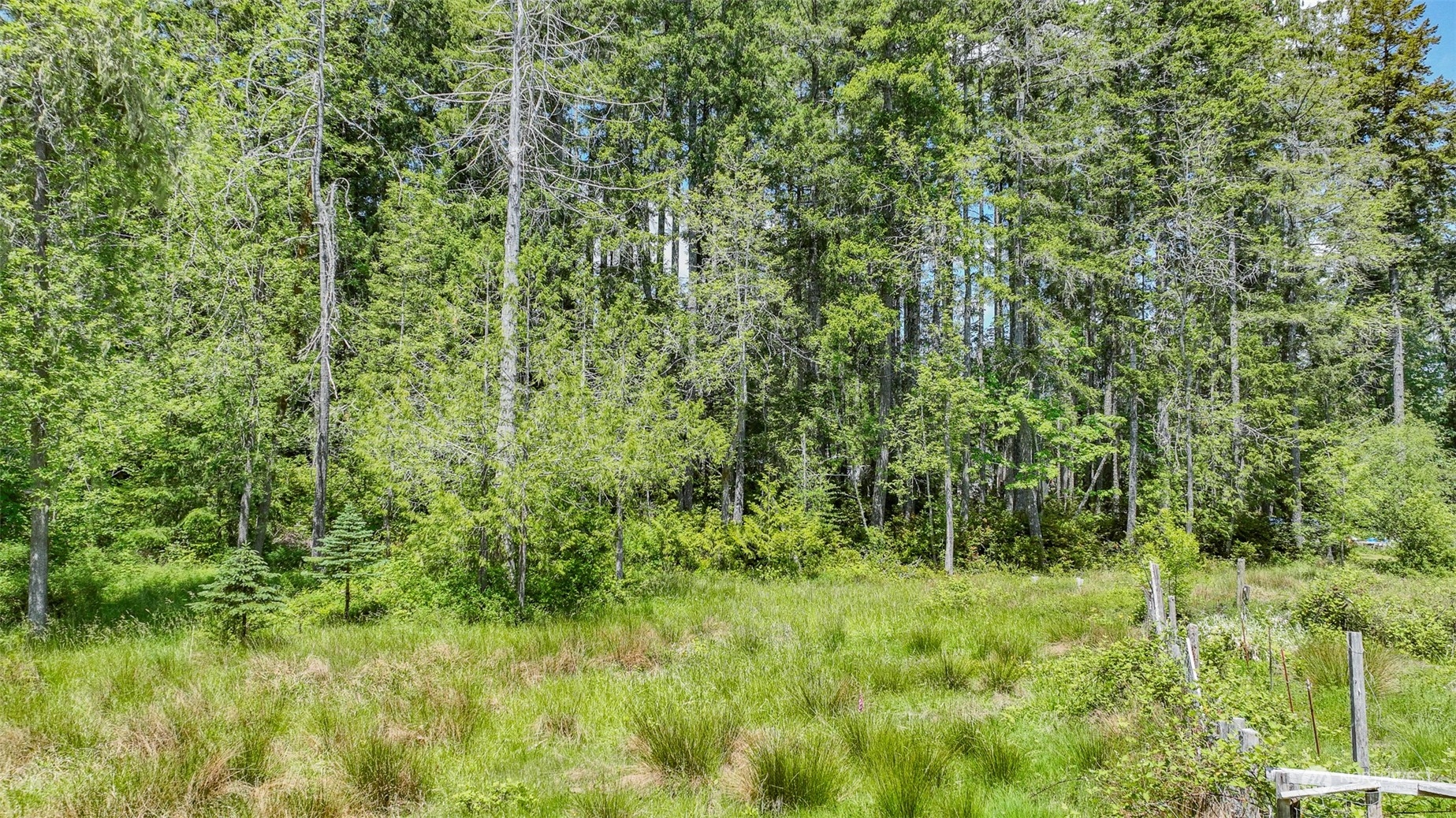 0 East Franjo Beach Road Shelton, WA 98584 - Photo 8 of 10 Gallery Image 8