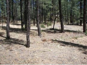 0 East Friendly Pines Road Prescott, AZ 86303 - Photo 1 of 3 Primary Photo