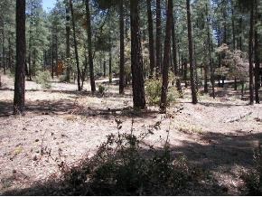 0 East Friendly Pines Road Prescott, AZ 86303 - Photo 3 of 3 Additional Photo
