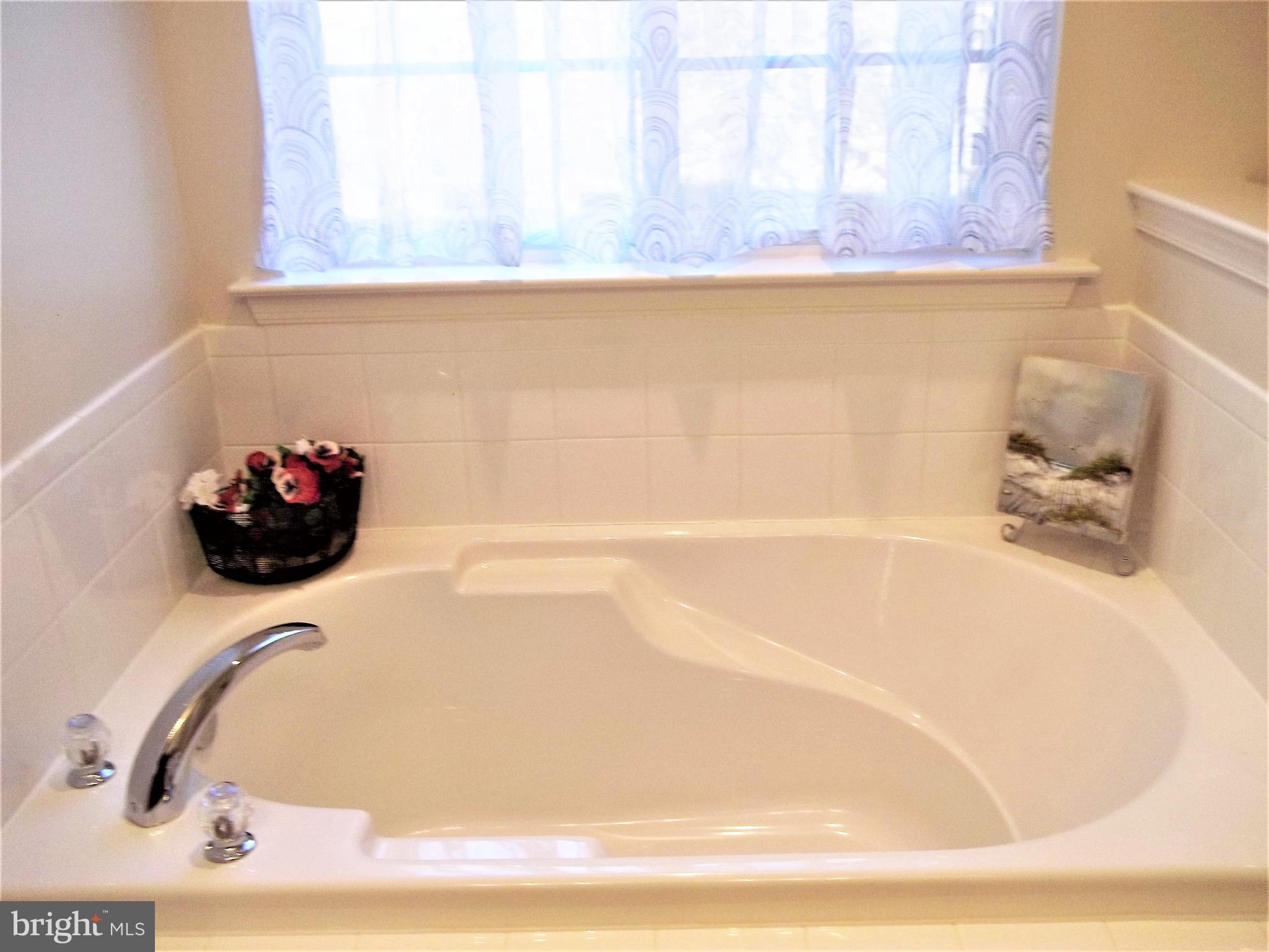 507 Rustic Court Perryville, MD 21903 - Photo 16 of 42 Large Soaking Tub in Master Bath