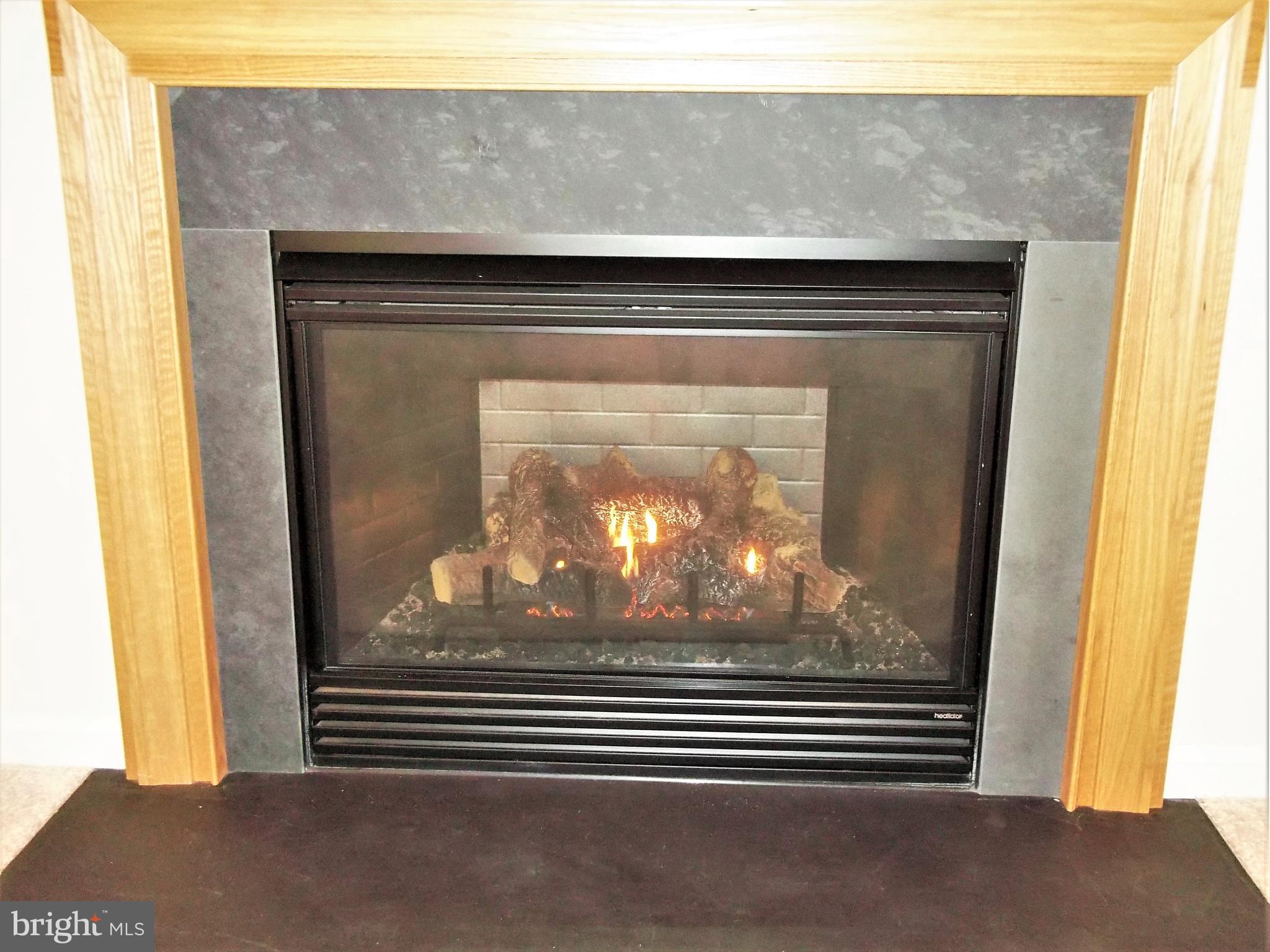 507 Rustic Court Perryville, MD 21903 - Photo 6 of 42 Gas Fireplace with Slate Surround