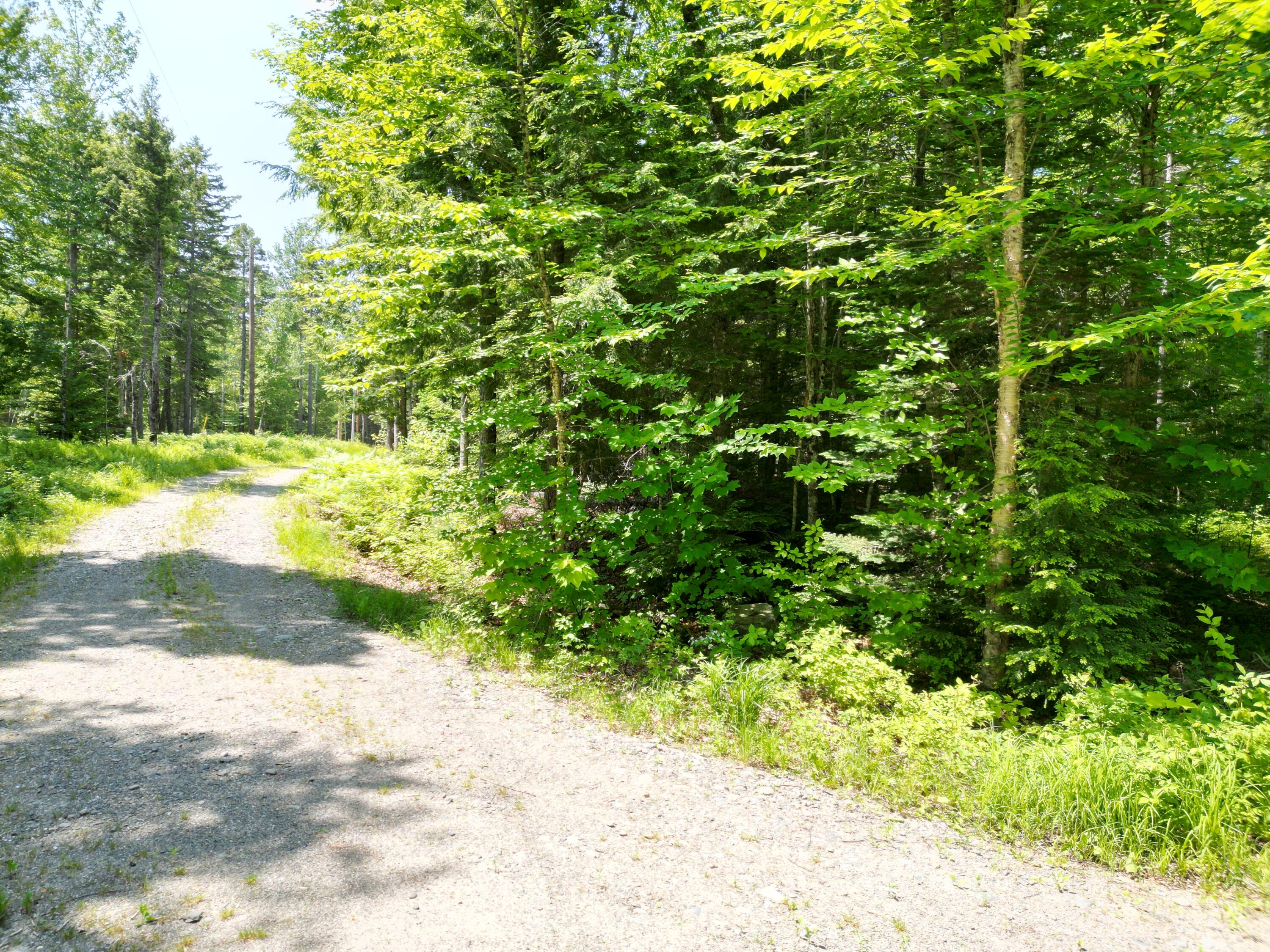 115 Egg Pond Road Lincoln, ME 04457 - Photo 9 of 14 DJI_0302