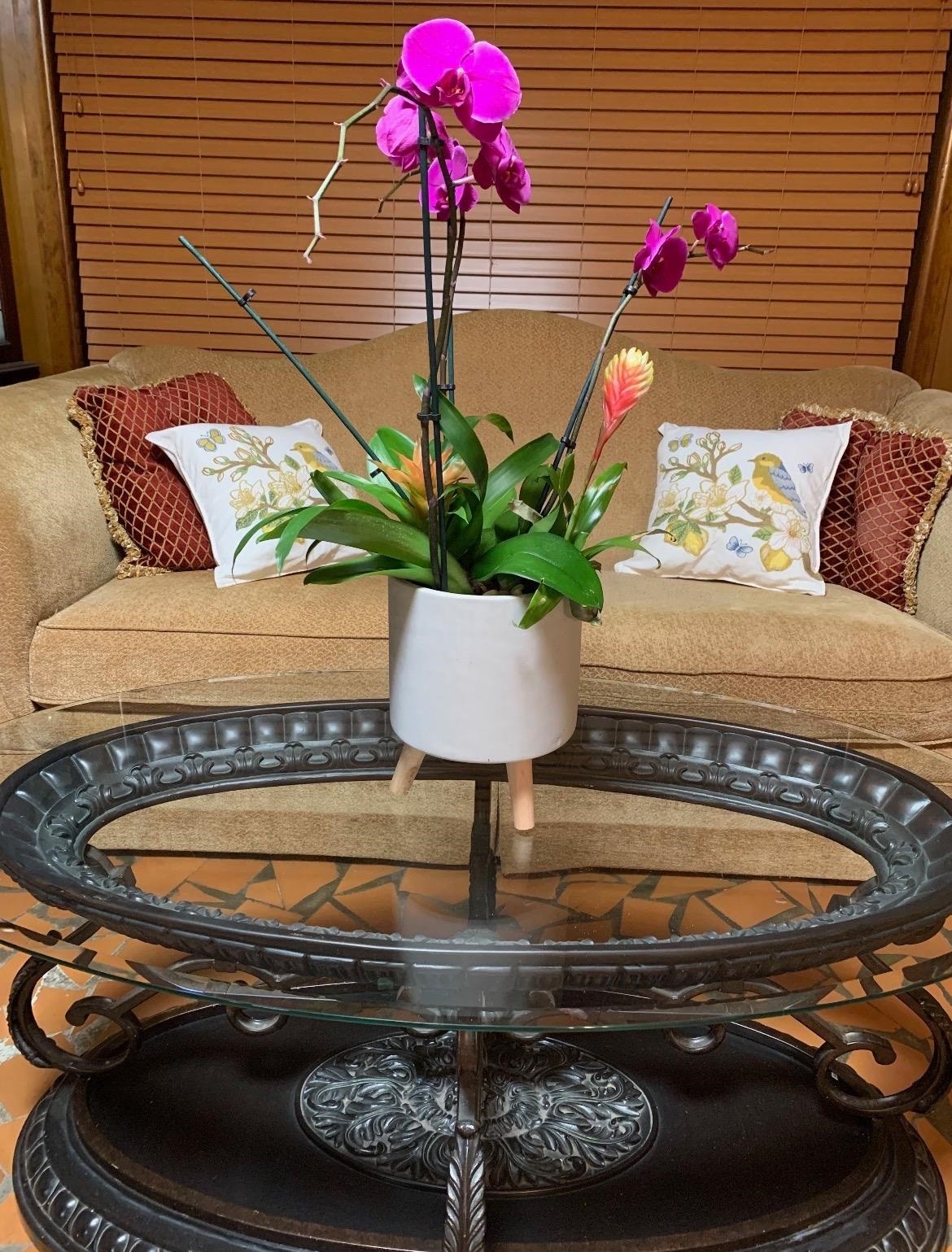 4587 Boyce Road Memphis, TN 38117 - Photo 22 of 31 Gallery Image 22