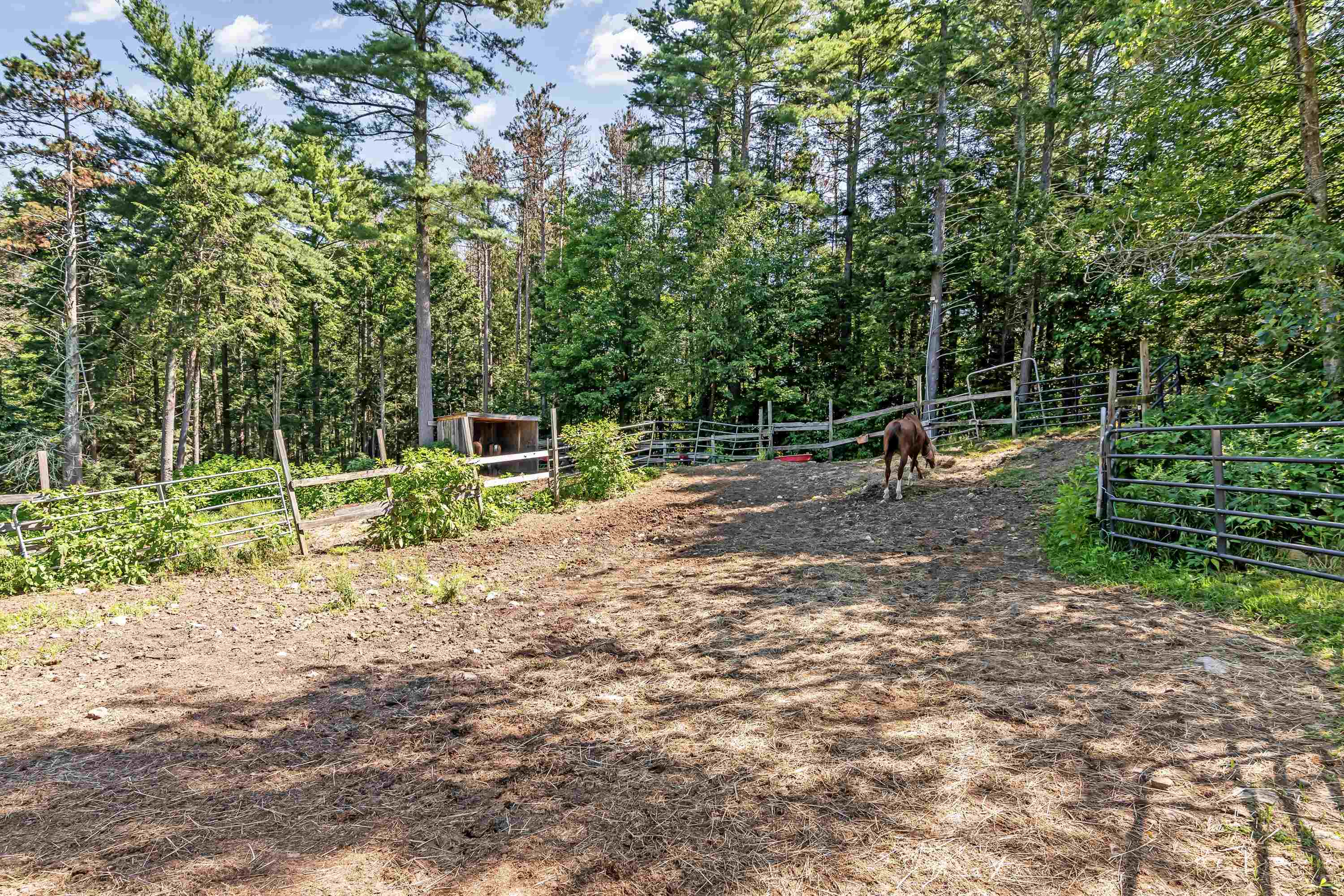 204 Colby Road Danville, NH 03819 - Photo 47 of 60 Gallery Image 47