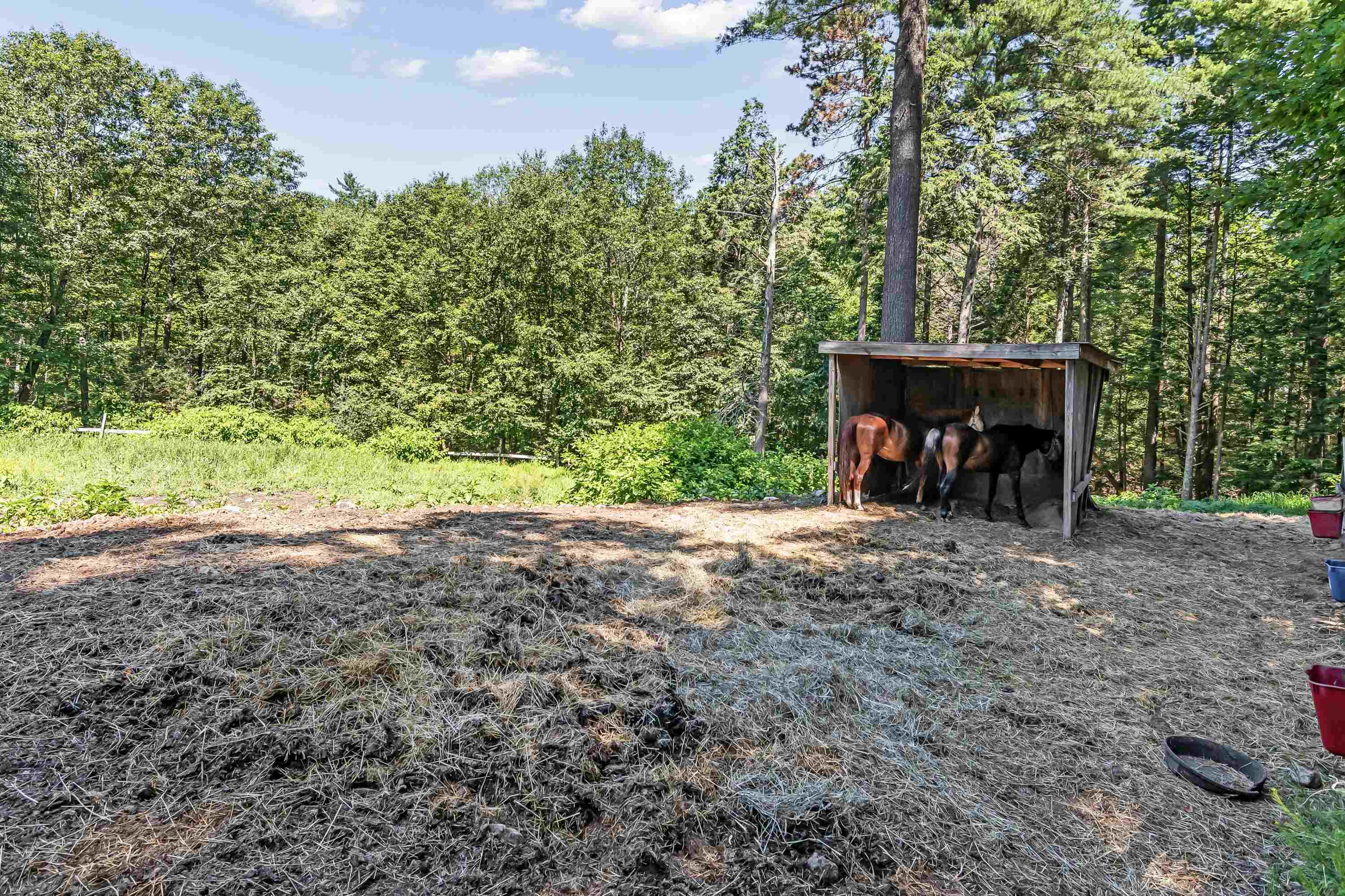 204 Colby Road Danville, NH 03819 - Photo 48 of 60 Gallery Image 48