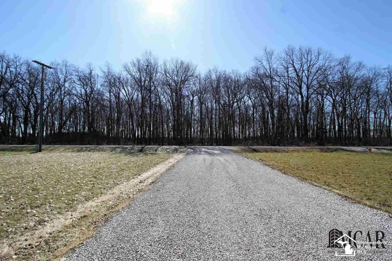 8796 Eggert Road Ida, MI 48140 - Photo 41 of 42