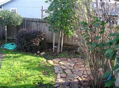 2064 Canover Court Santa Rosa, CA 95403 - Photo 7 of 9 Gallery Image 7