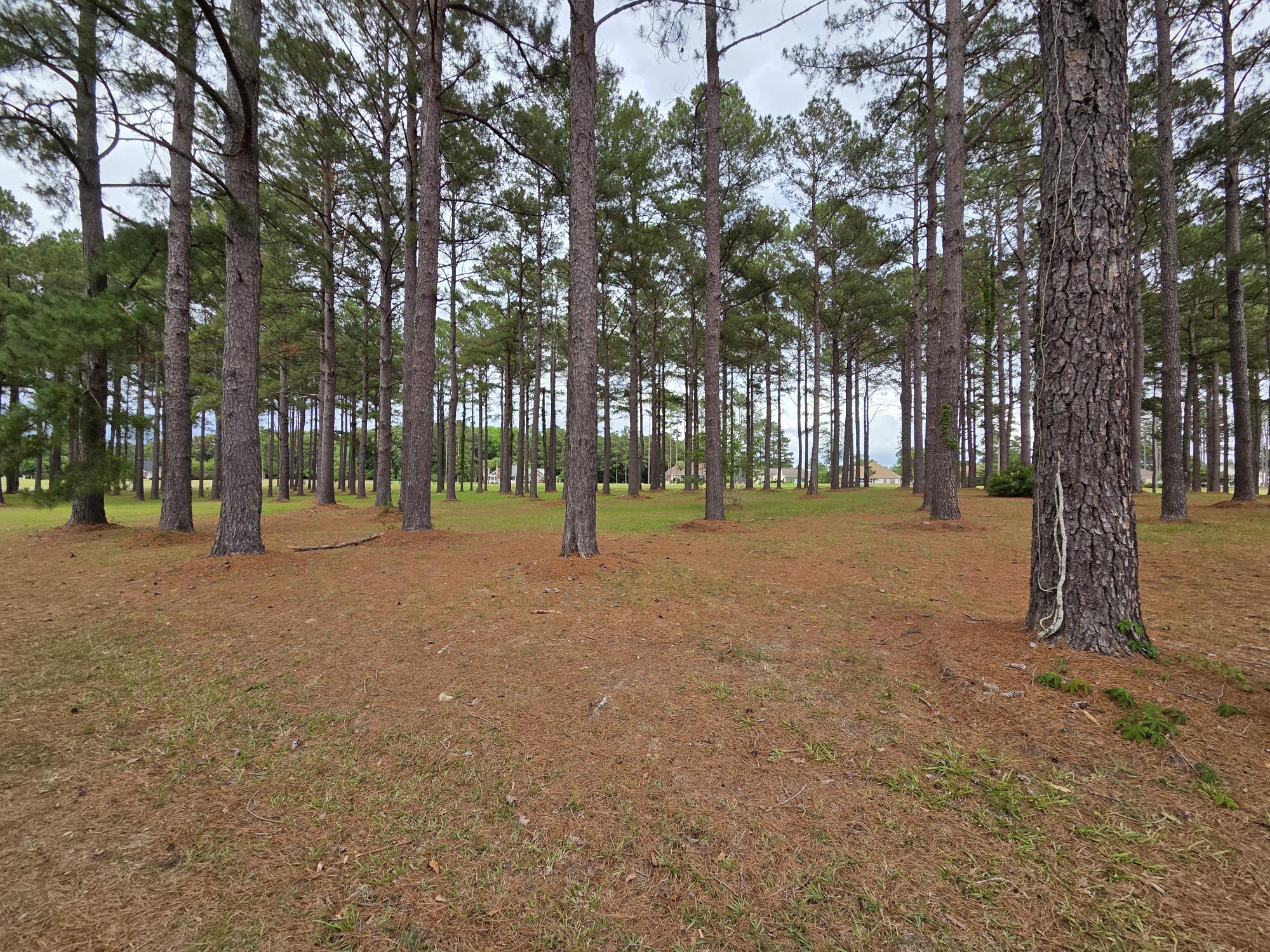 402 Pinelake Court Manning, SC 29102 - Photo 3 of 25