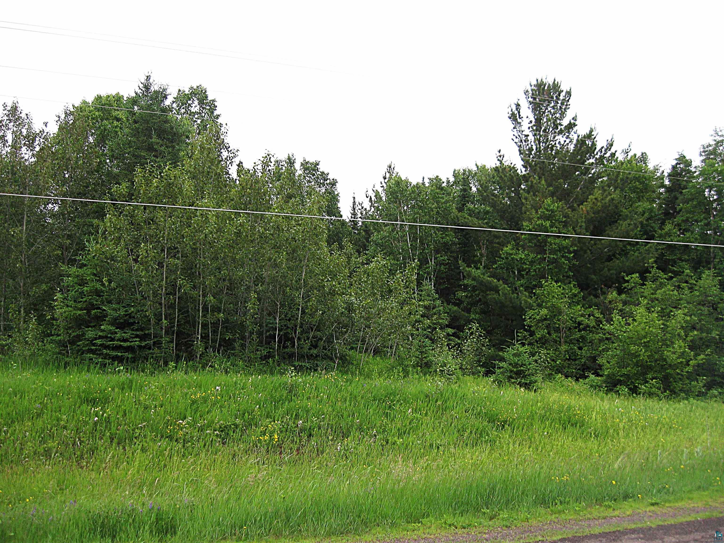View of nature