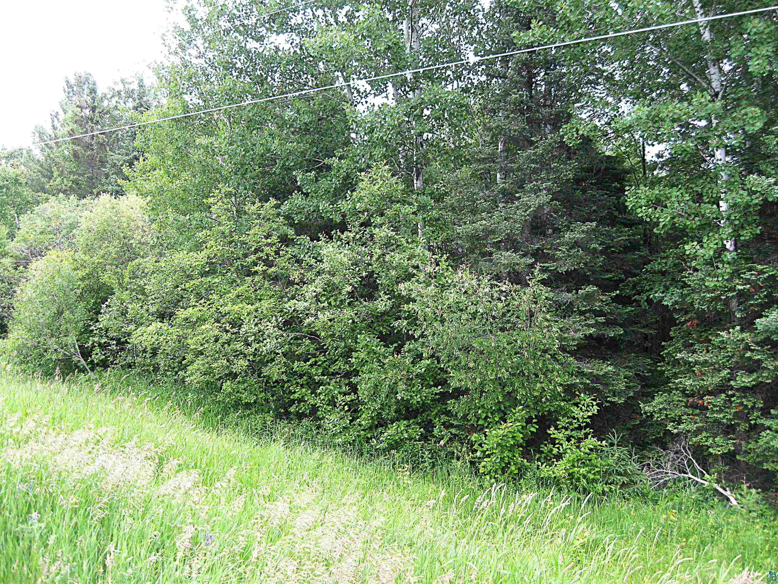 Two Shoreview Road Two Harbors, MN 55616 - Photo 3 of 6 View of undeveloped land