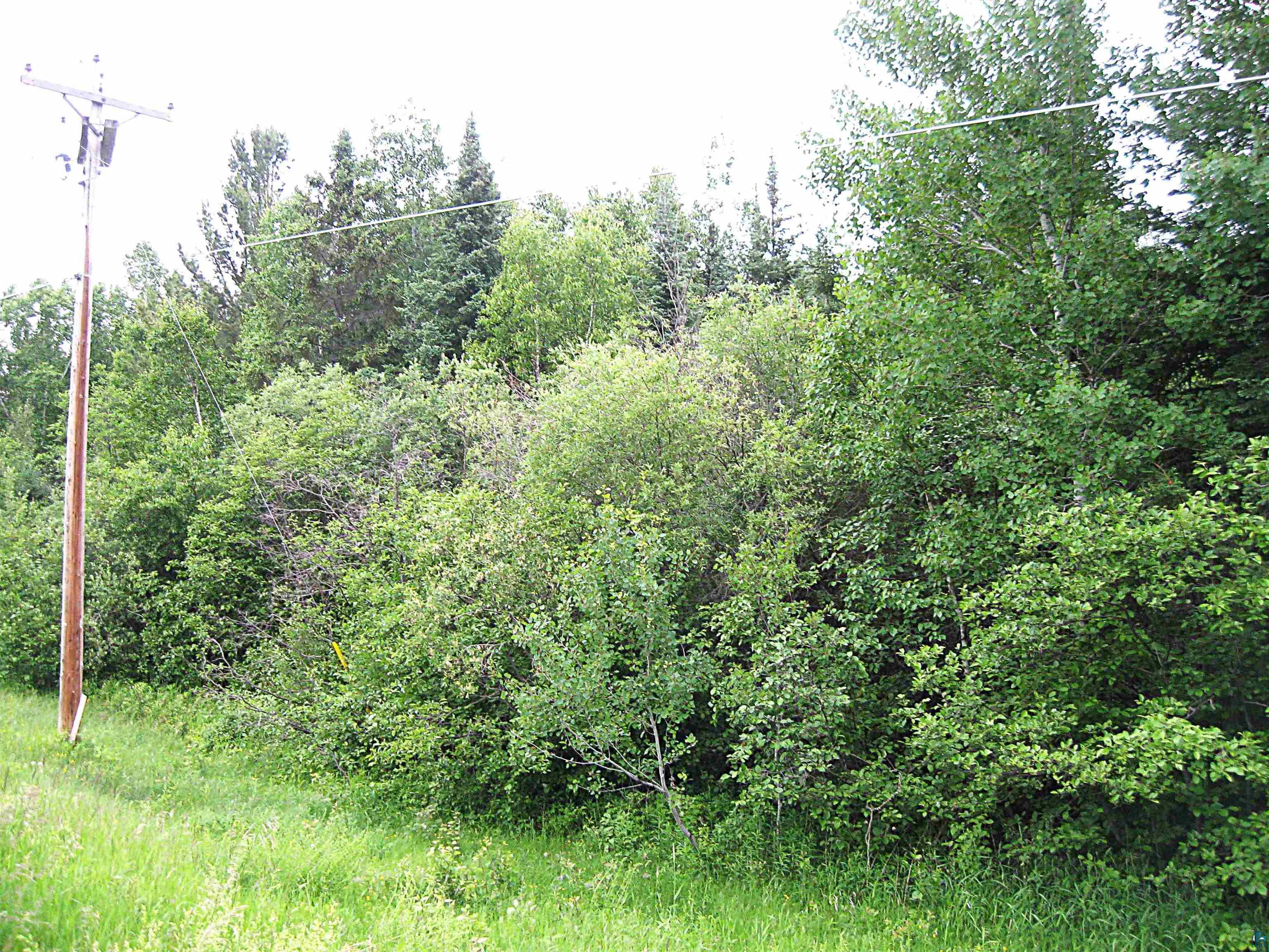 Two Shoreview Road Two Harbors, MN 55616 - Photo 4 of 6 View of local wilderness
