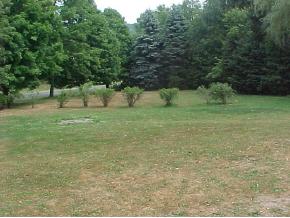 204 Marks Road Lisle, NY 13797 - Photo 2 of 7 Gallery Image 2