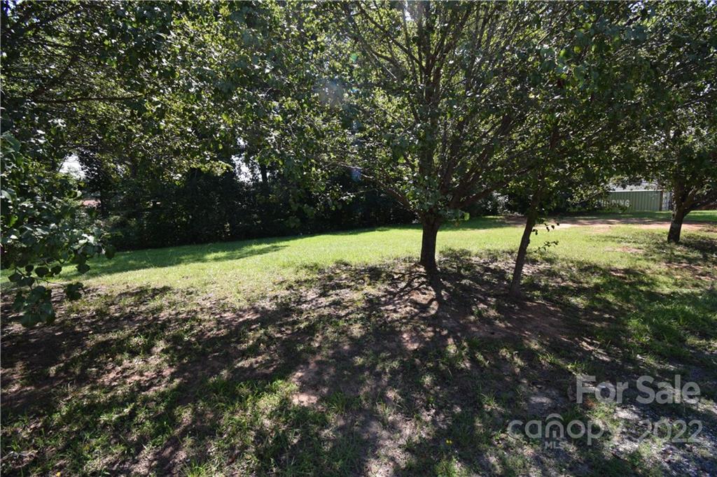 a view of yard with tree in the background