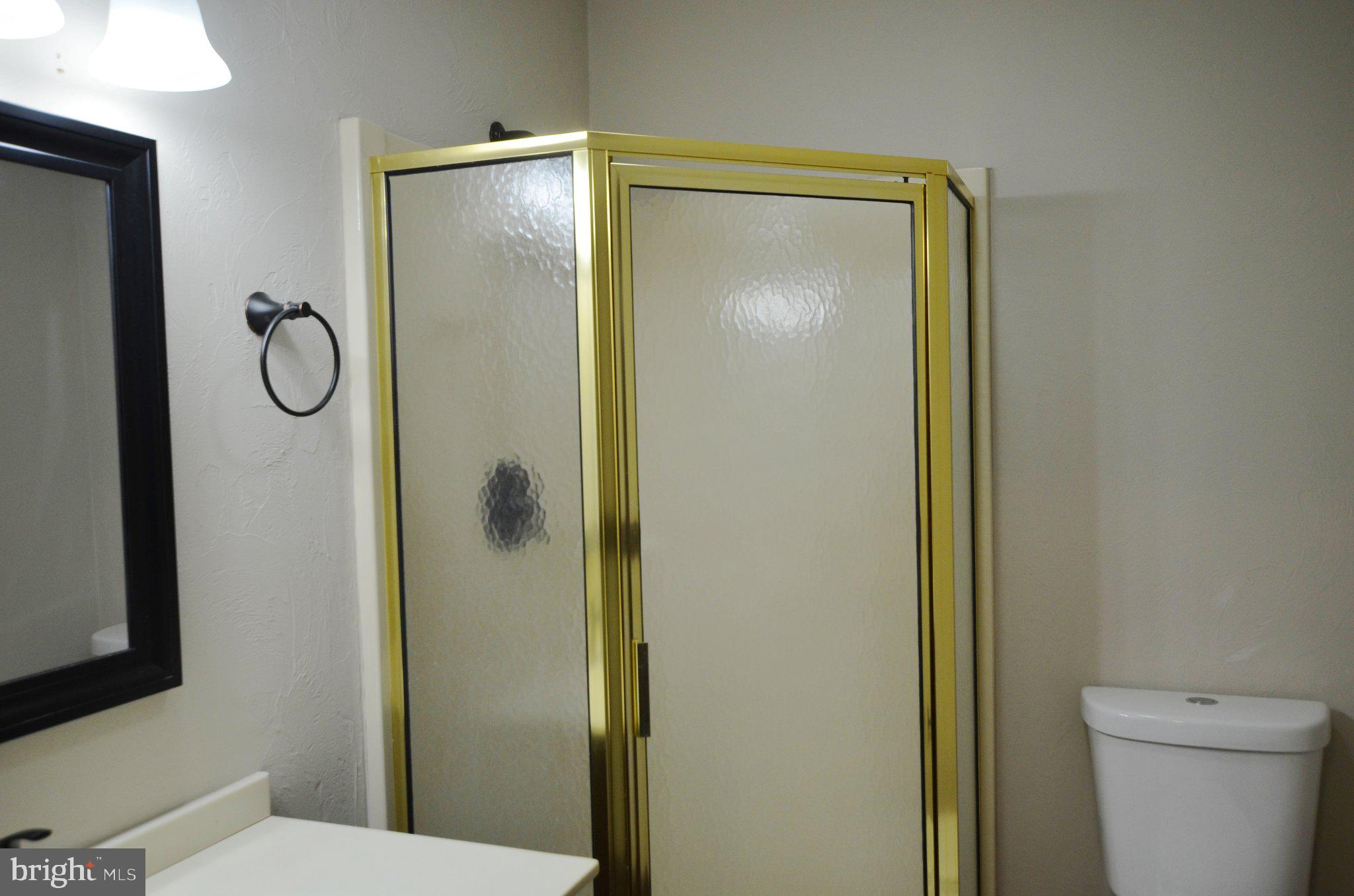 3414 Trone Road Glenville, PA 17329 - Photo 26 of 40 Elegant bathroom with golden accents.