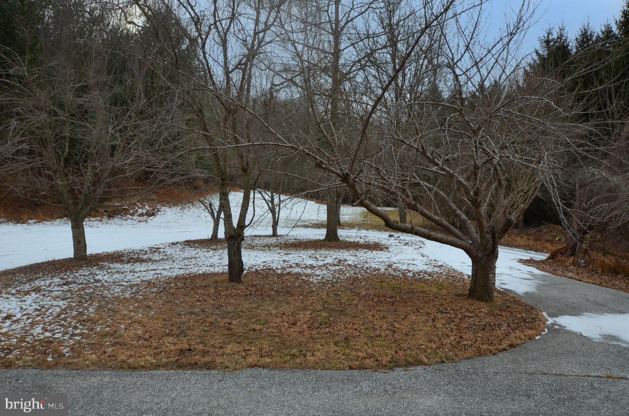3414 Trone Road Glenville, PA 17329 - Photo 7 of 35