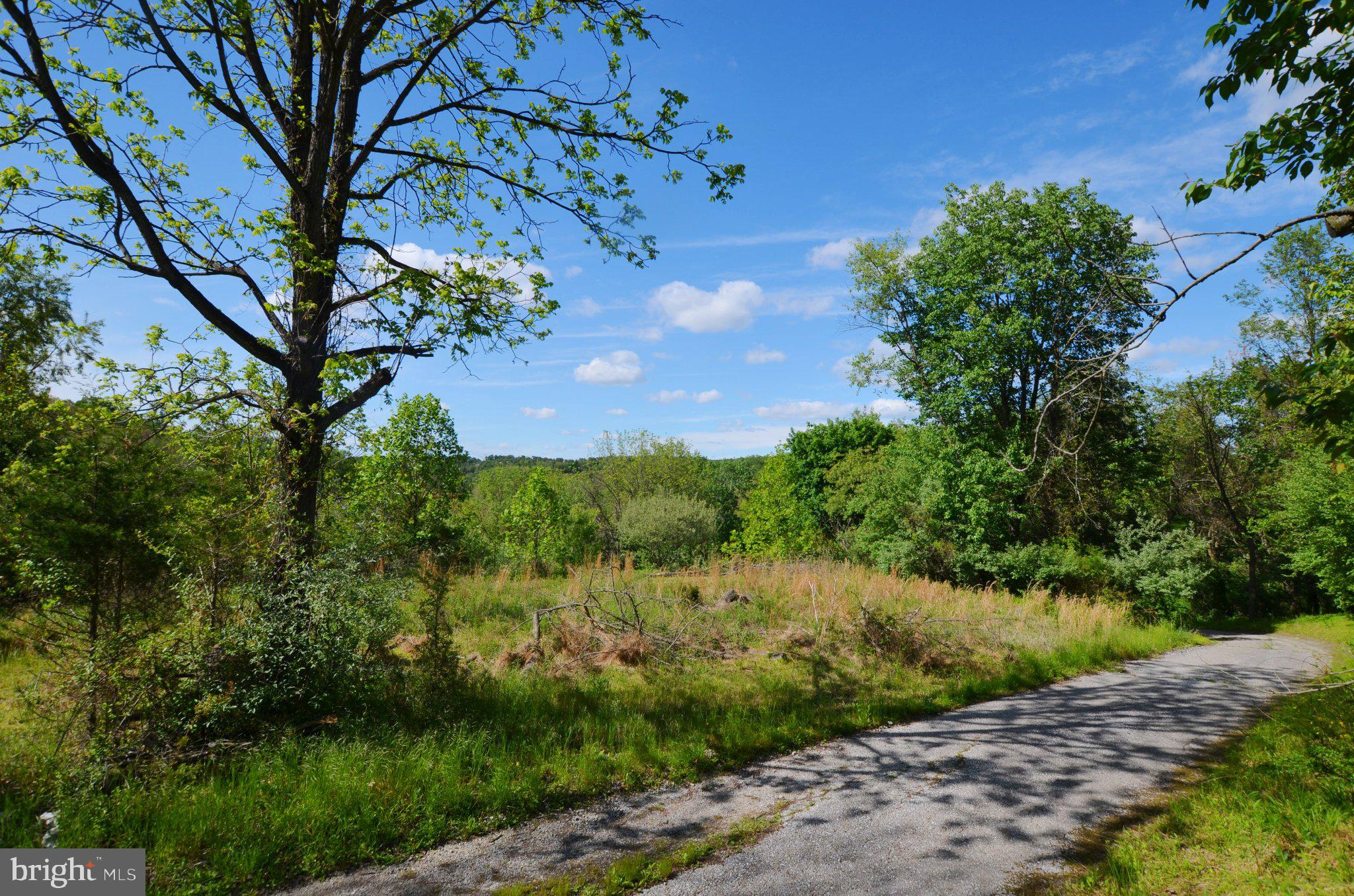 3414 Trone Road Glenville, PA 17329 - Photo 7 of 40 Serene path through lush greenery.
