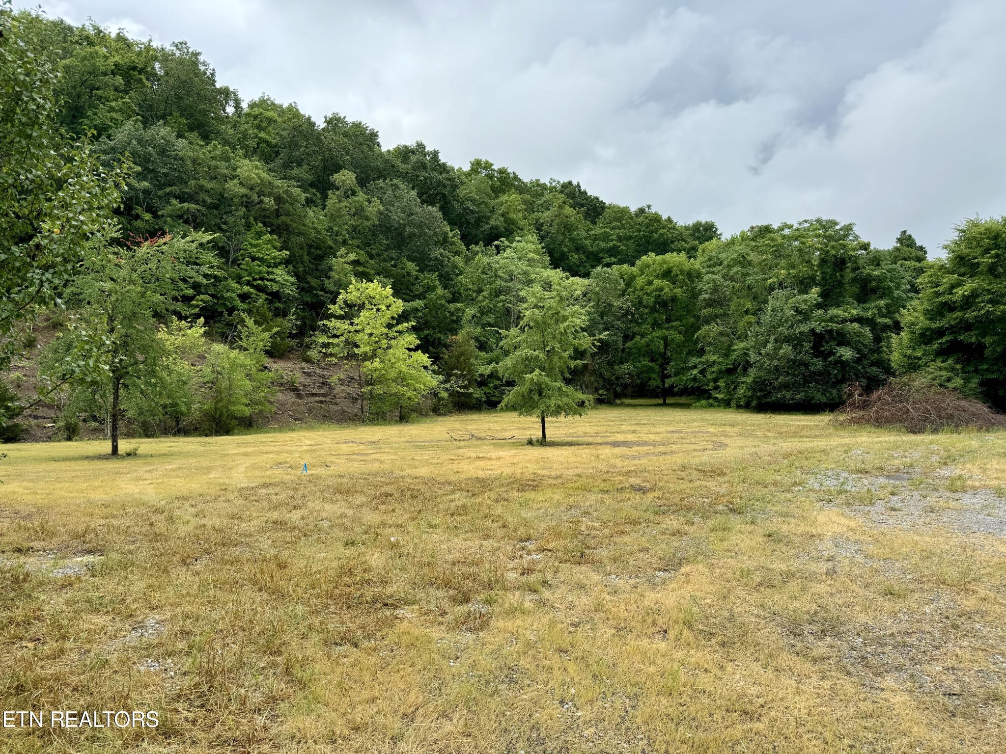 955 Lakeway Road Morristown, TN 37814 - Photo 13 of 20 Gallery Image 13