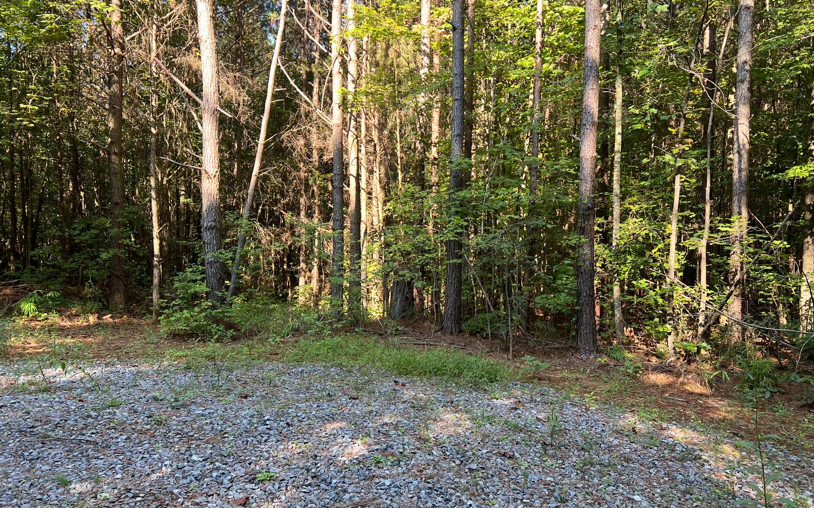 Pleasant Gap Road Ellijay, GA 30540 - Photo 6 of 7 Additional View