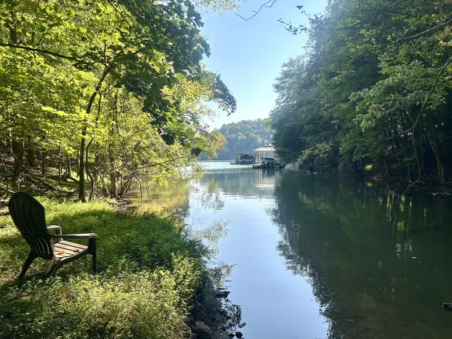 a view of a lake in a backyard of a house