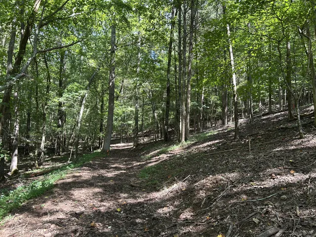 $499,999 | 0 J J D Lane, Lynchburg, TN 37352