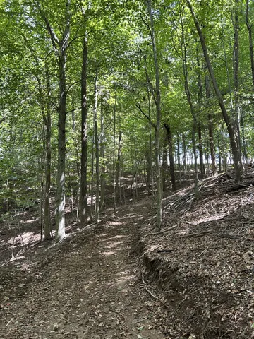 a view of outdoor space and green space