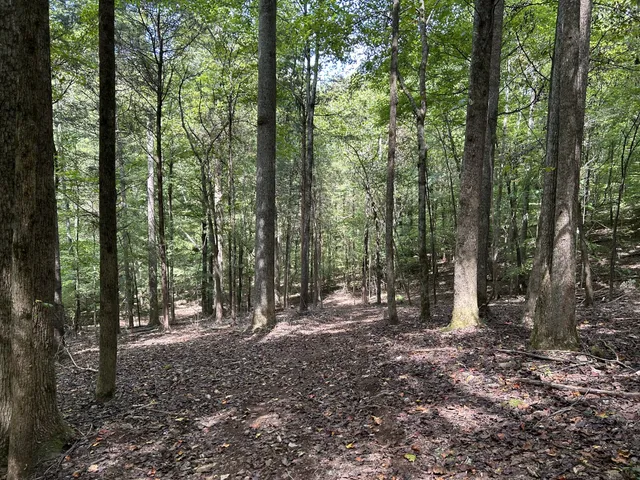 a view of an ocean view