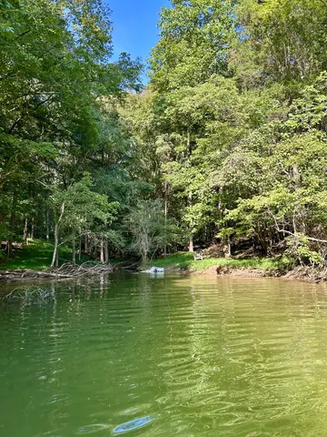 a view of a park with large trees