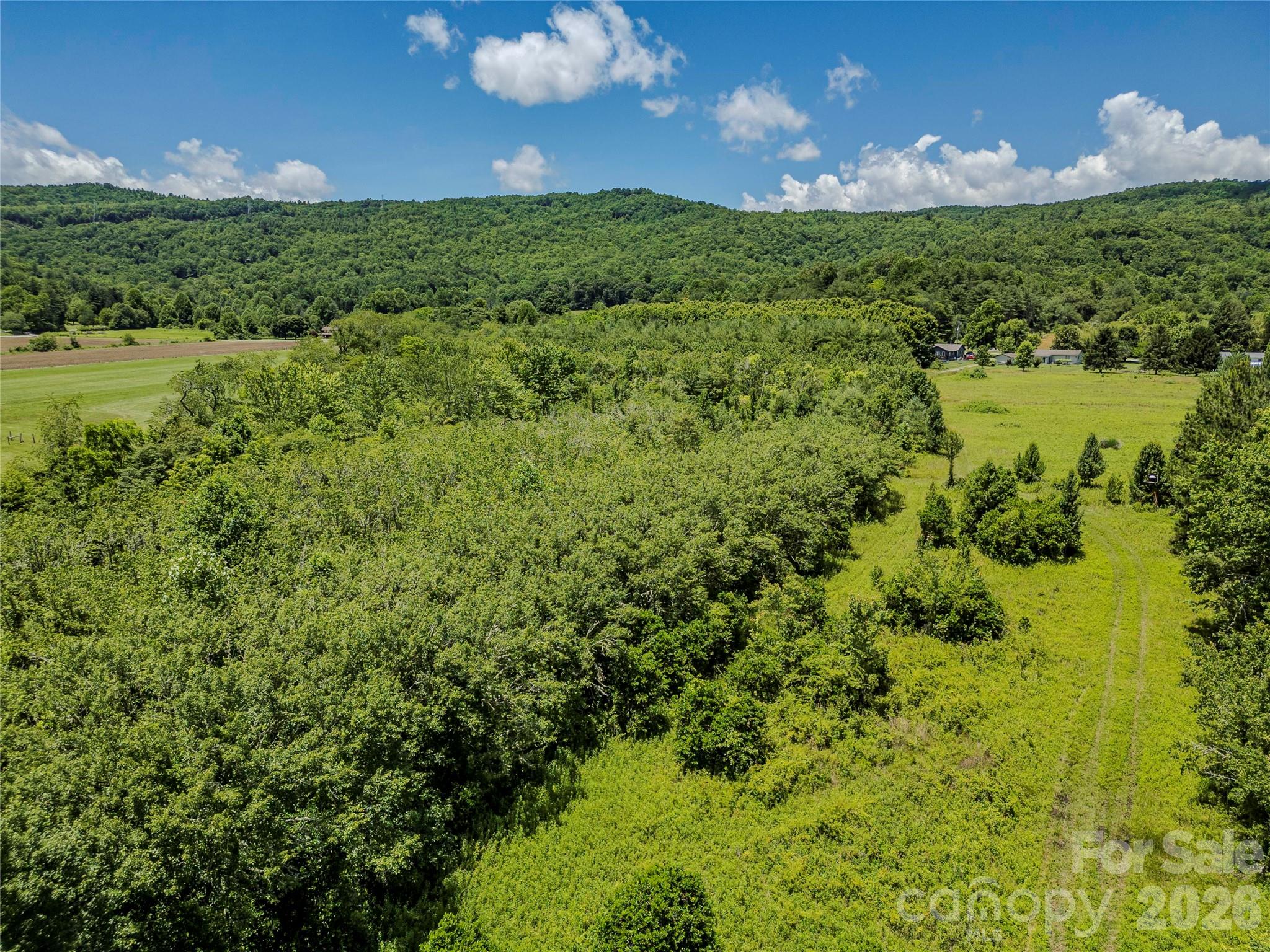 Tbd Canebrake Road Pisgah Forest, NC 28768 - Photo 42 of 43