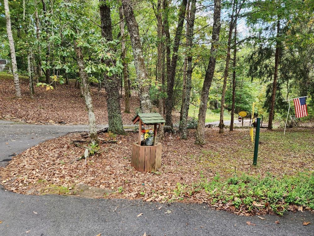 307 Fall Branch Lane Murphy, NC 28906 - Photo 7 of 16