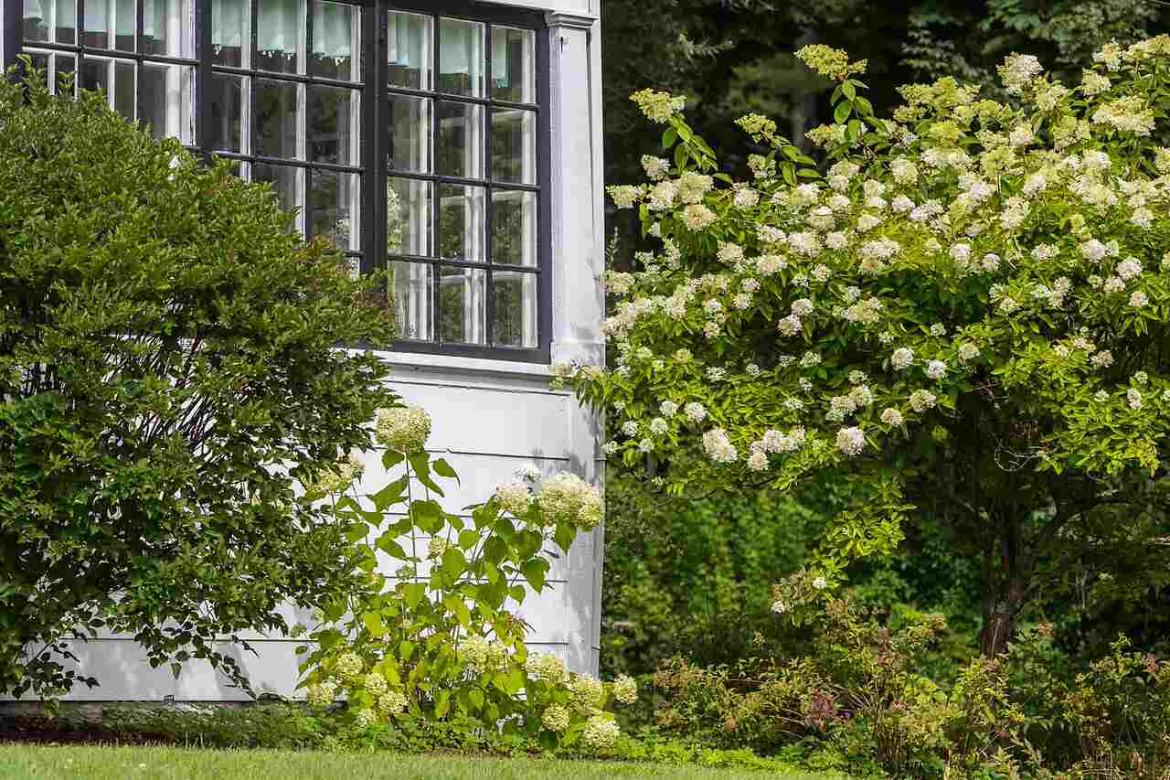 279 W Road Manchester, VT 05255 - Photo 29 of 37 Gallery Image 29