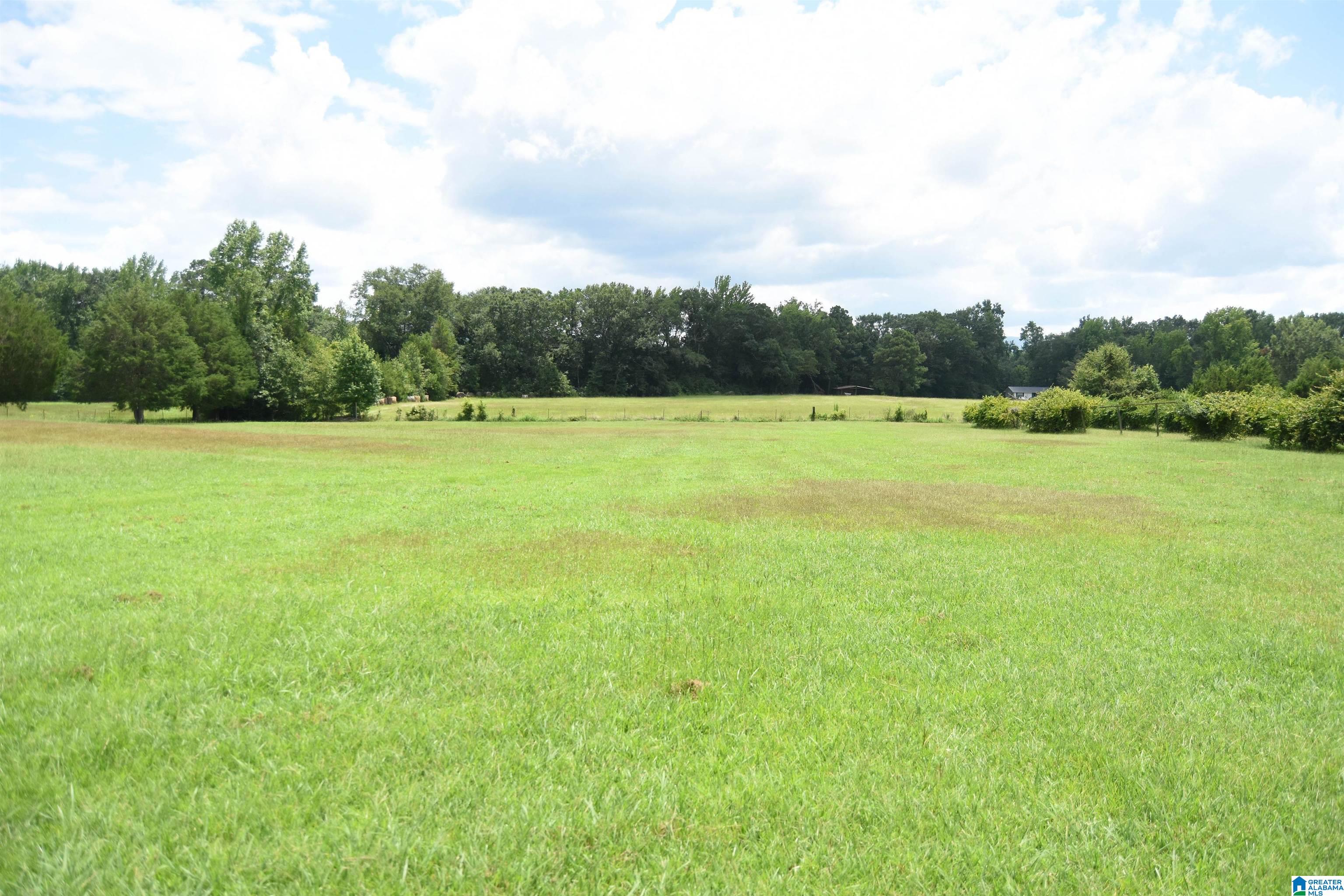 873 Buckelew Road Anniston, AL 36207 - Photo 72 of 91