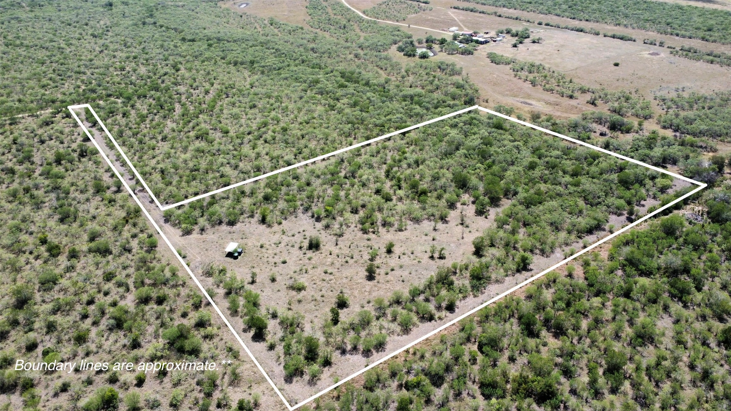 Tbd Pleasant Hl Road Lockhart, TX 78644 - Photo 1 of 8 Mature trees and native vegetation cover this expansive rural acreage with defined boundary lines.