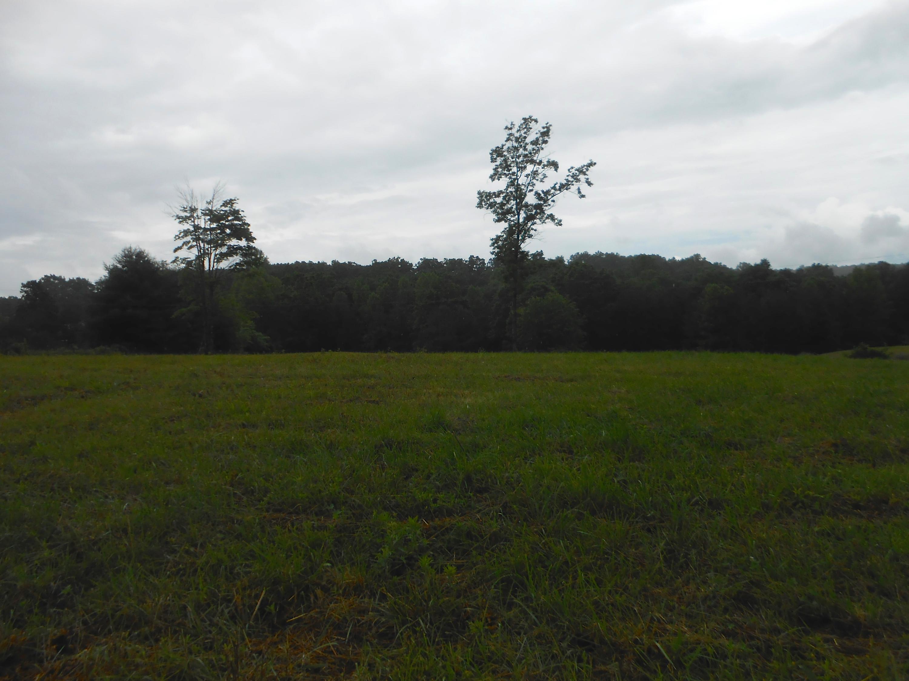 Pearl Hinds Road Jamestown, TN 38556 - Photo 1 of 20 DSCN7385