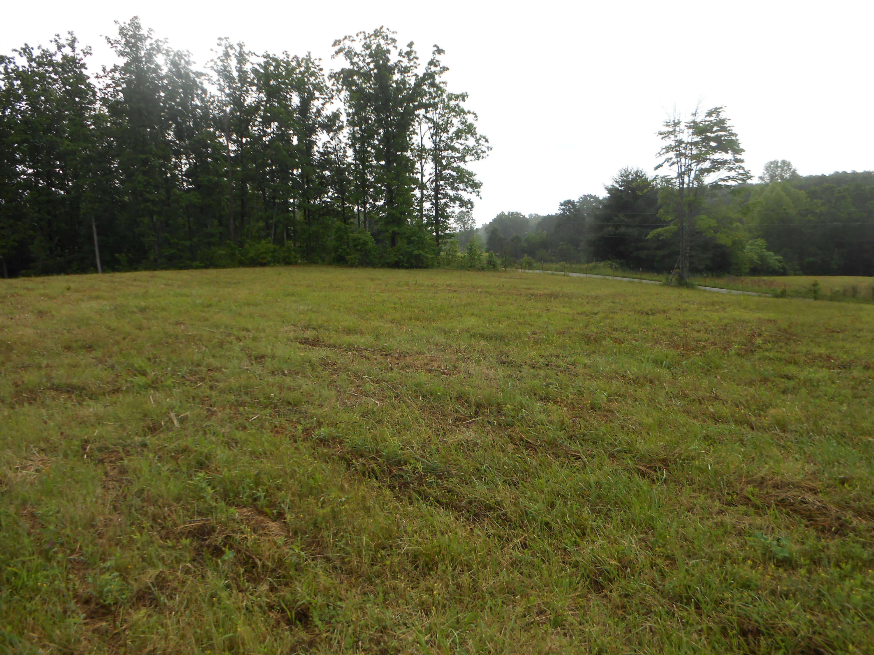 Pearl Hinds Road Jamestown, TN 38556 - Photo 2 of 20 DSCN7386