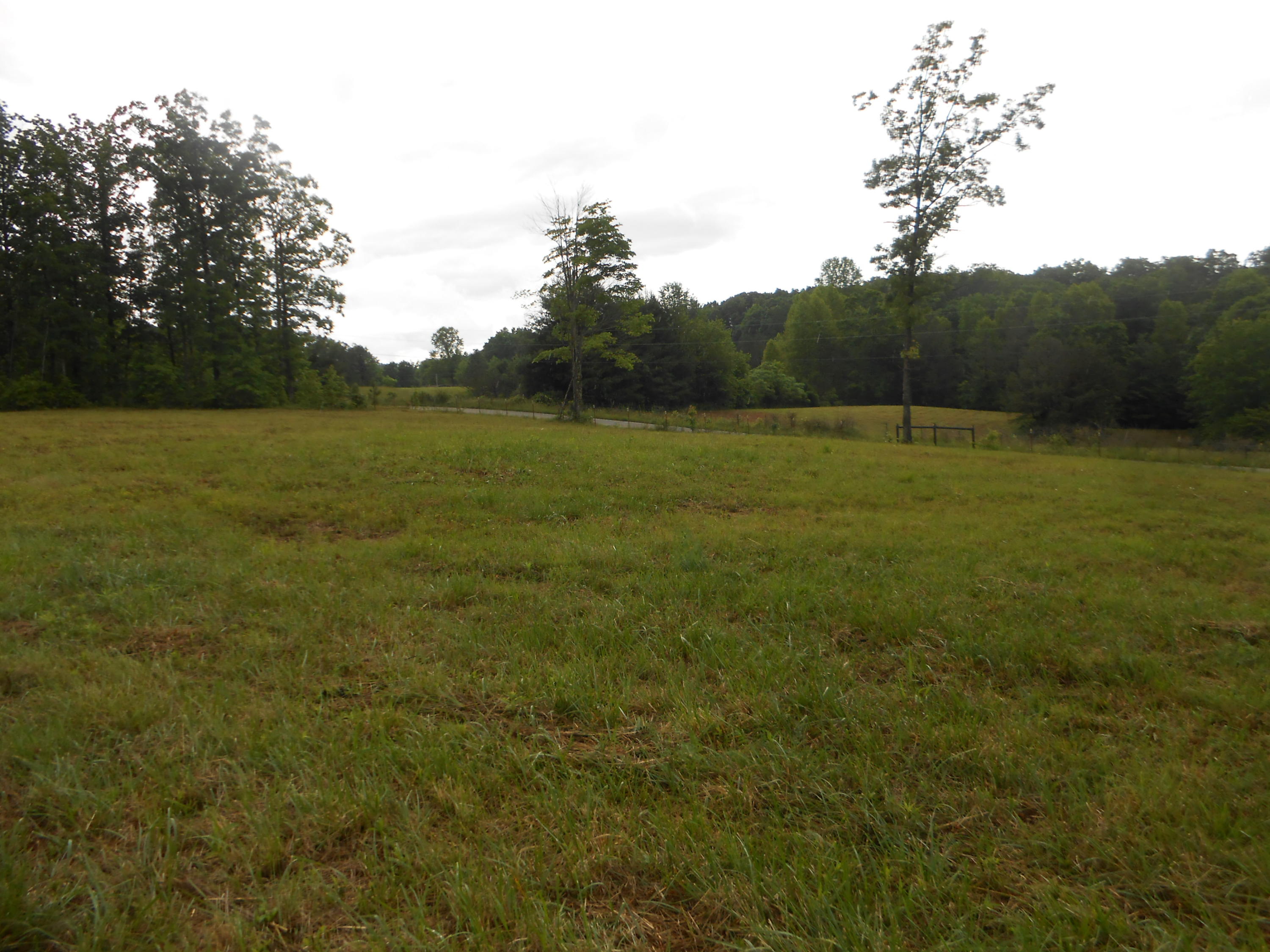 Pearl Hinds Road Jamestown, TN 38556 - Photo 11 of 20 DSCN7376