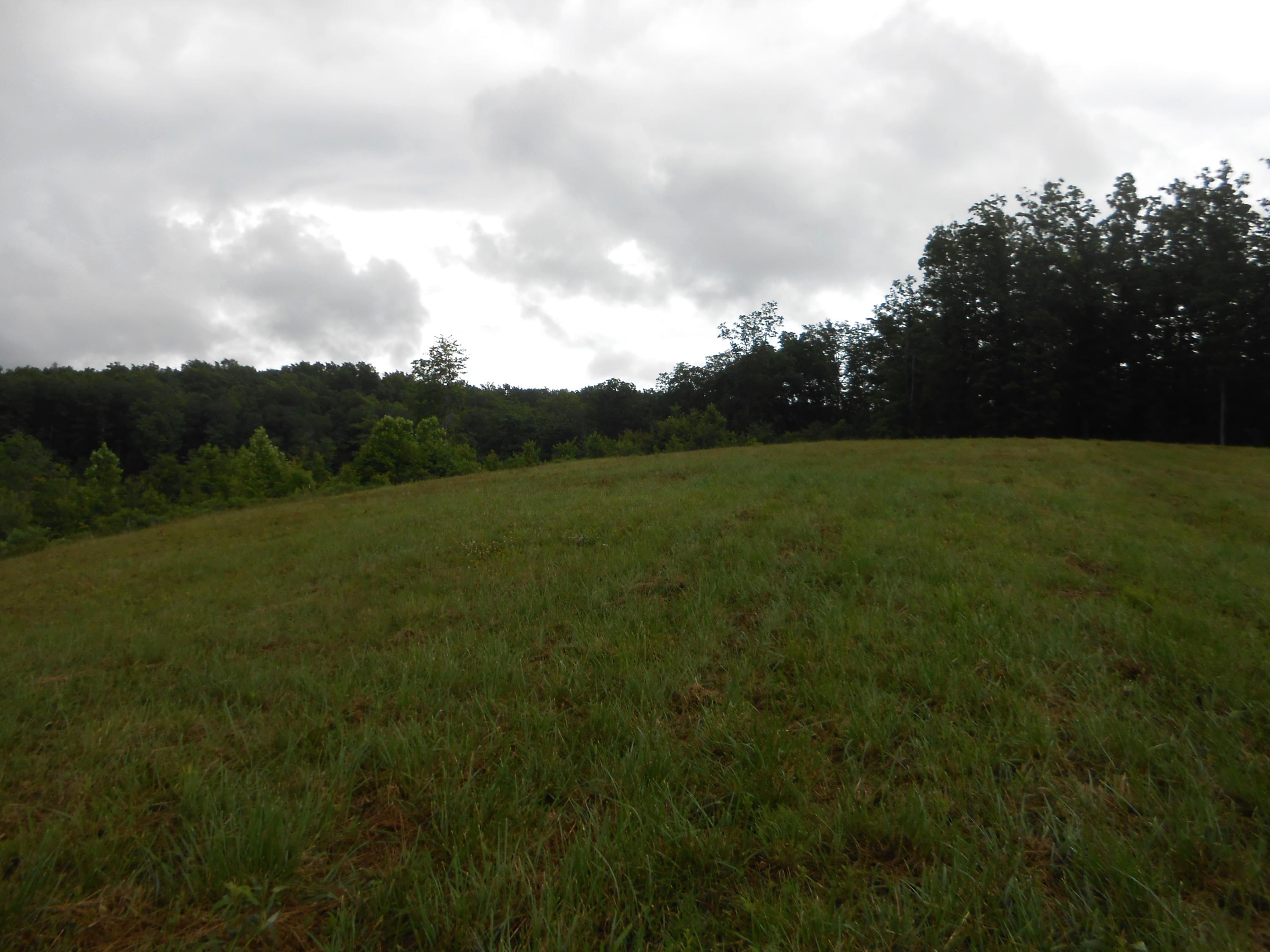 Pearl Hinds Road Jamestown, TN 38556 - Photo 12 of 20 DSCN7377