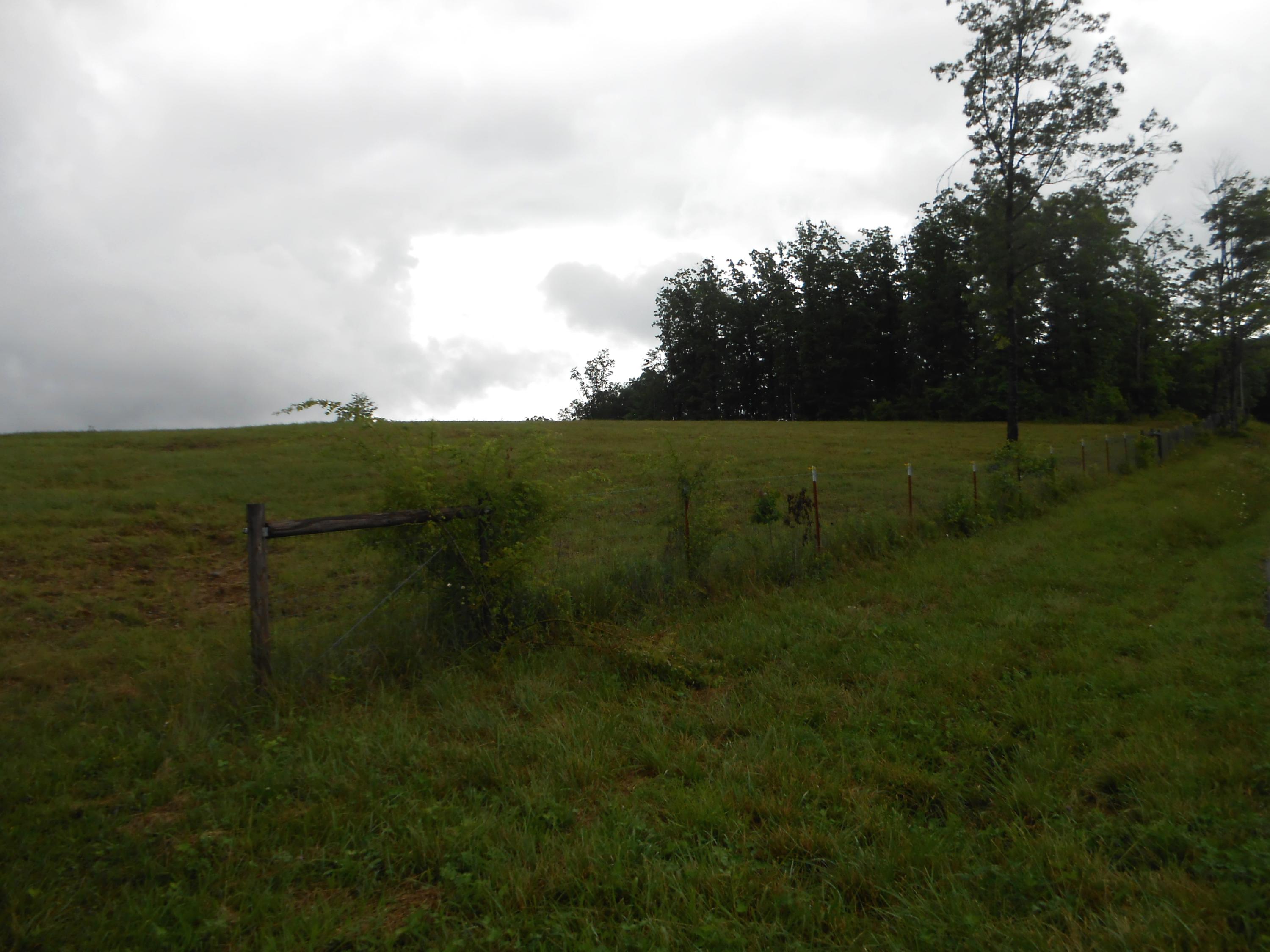 Pearl Hinds Road Jamestown, TN 38556 - Photo 13 of 20 DSCN7363