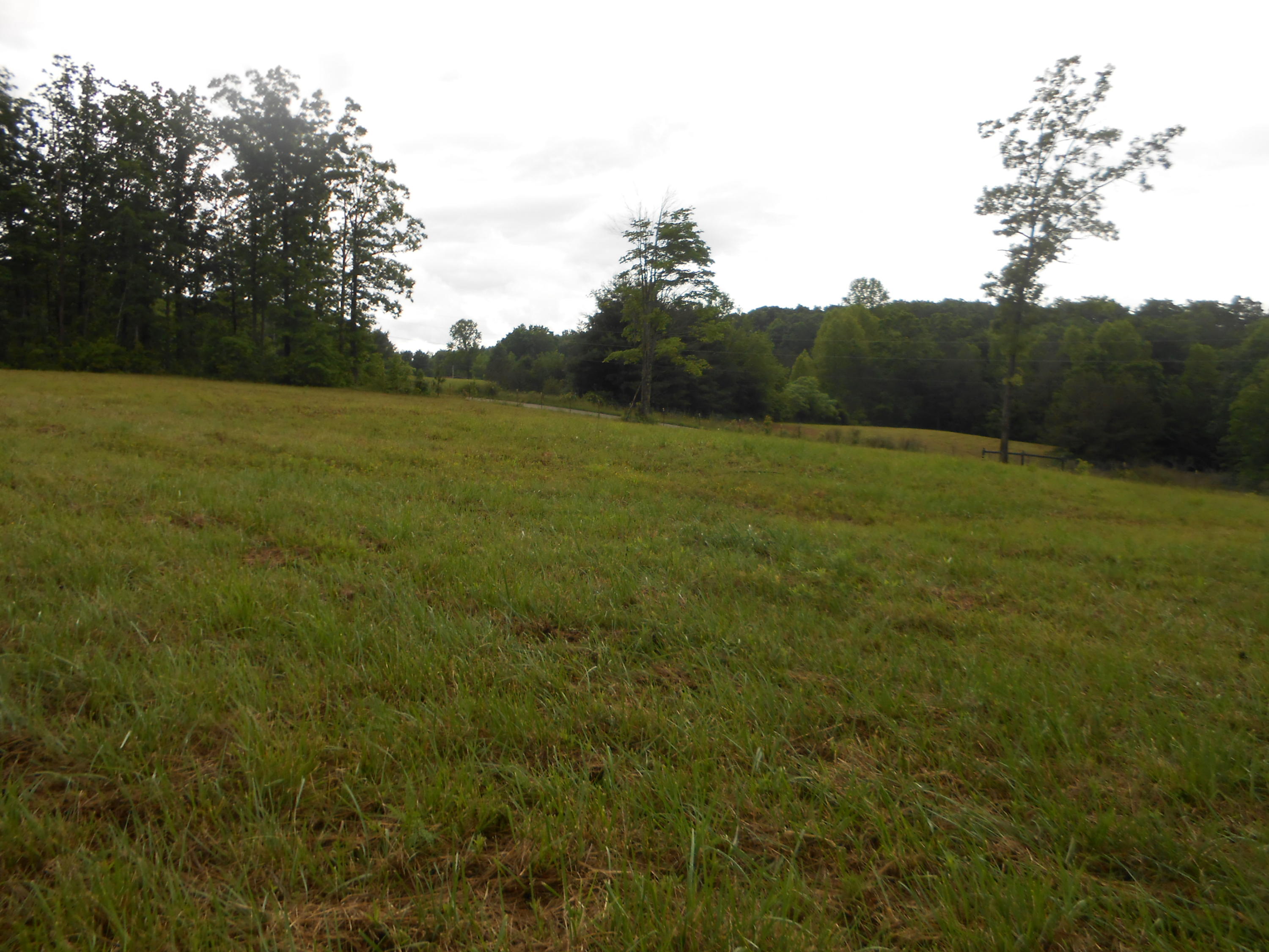 Pearl Hinds Road Jamestown, TN 38556 - Photo 15 of 20 DSCN7379