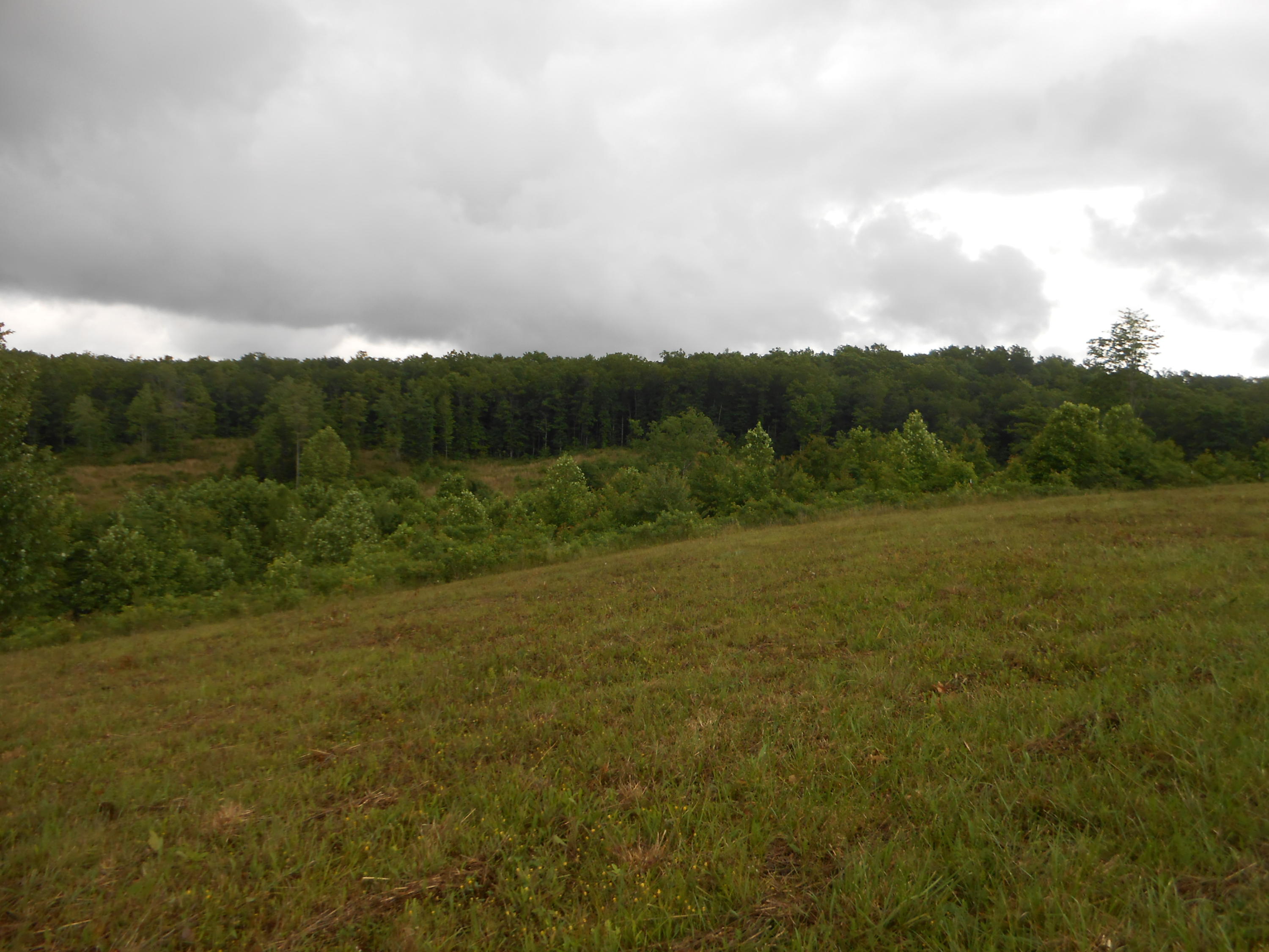 Pearl Hinds Road Jamestown, TN 38556 - Photo 16 of 20 DSCN7380