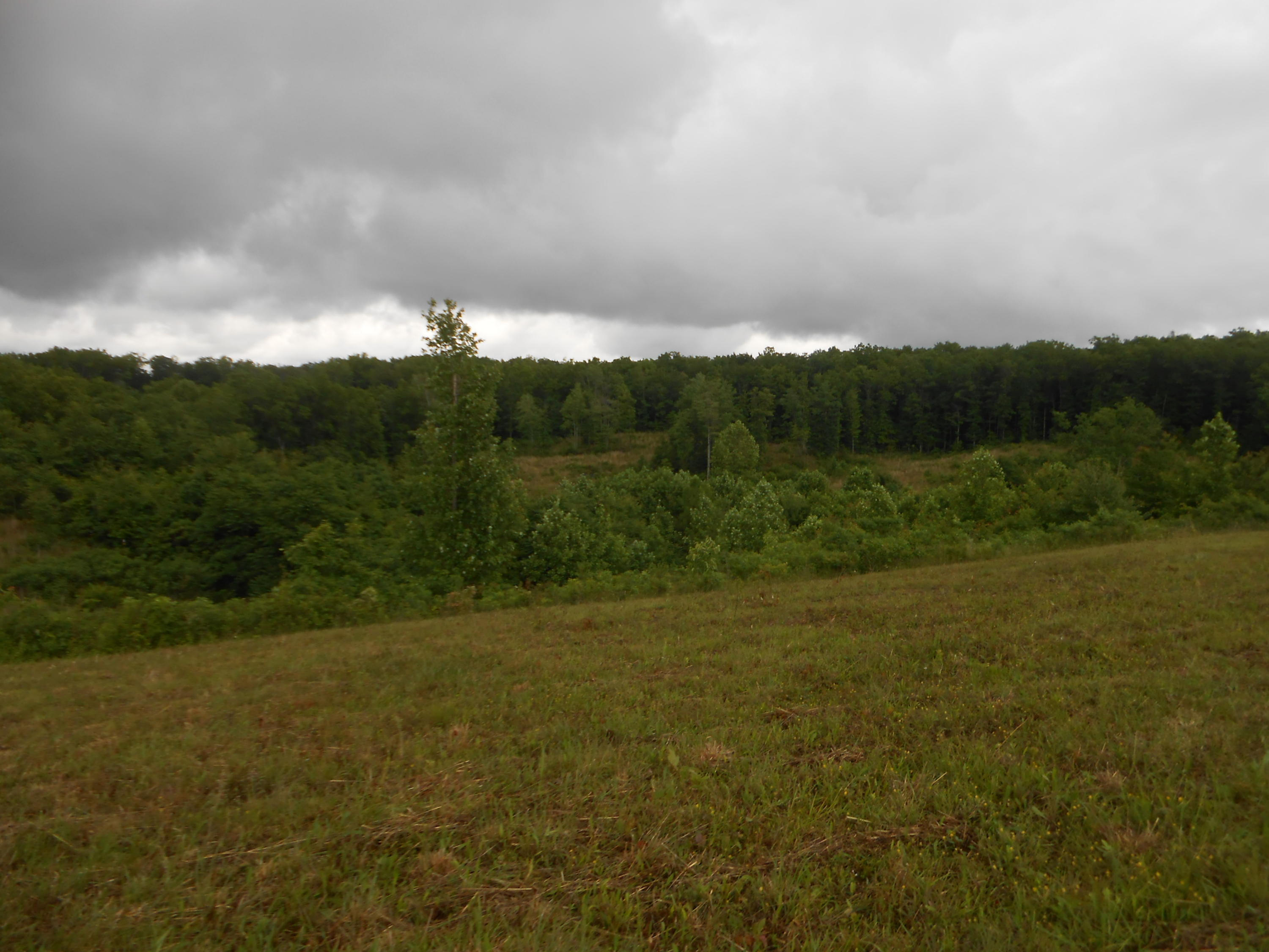 Pearl Hinds Road Jamestown, TN 38556 - Photo 17 of 20 DSCN7381