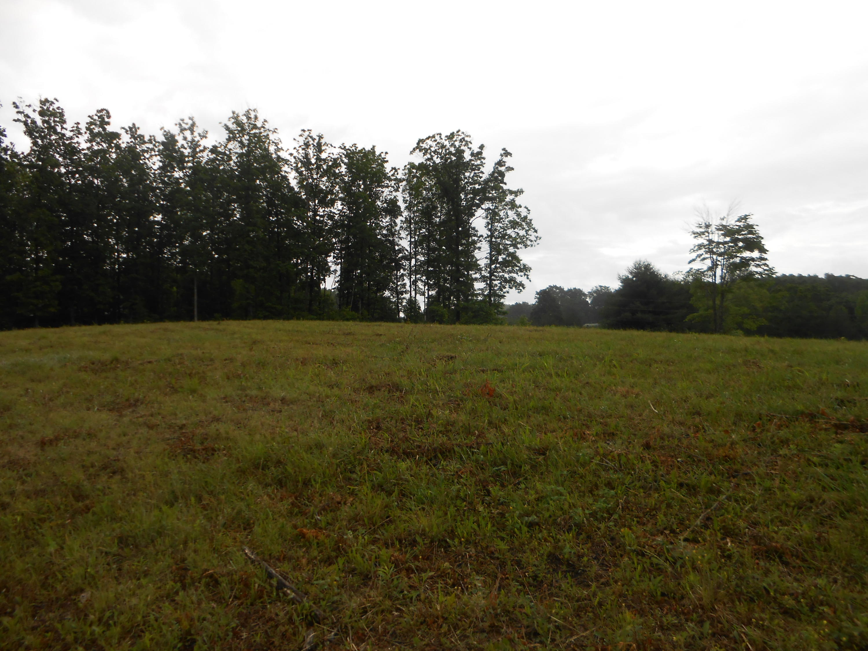 Pearl Hinds Road Jamestown, TN 38556 - Photo 19 of 20 DSCN7384