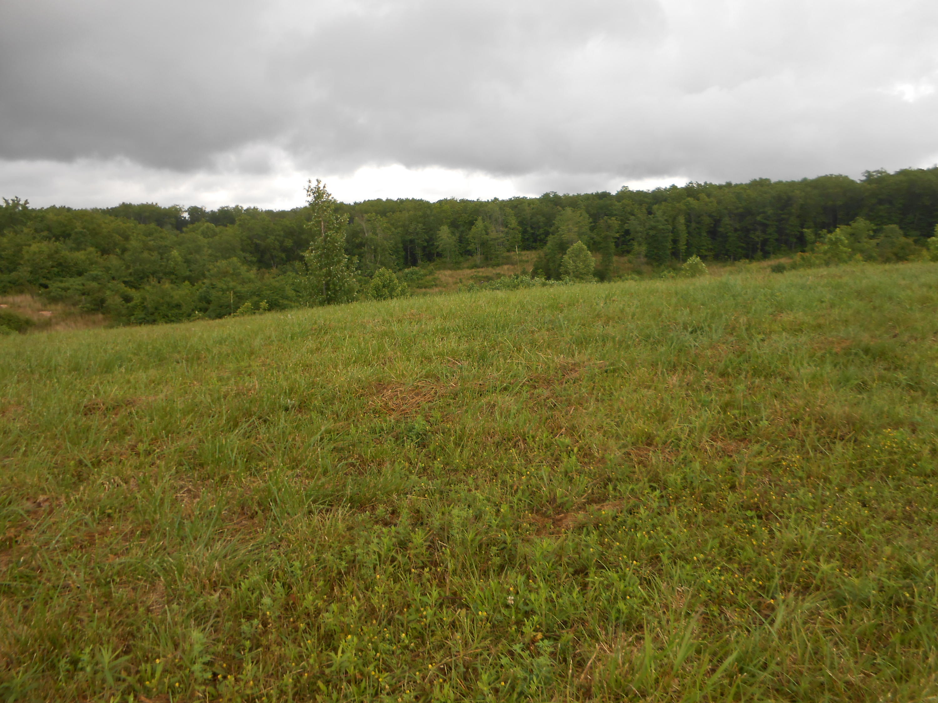 Pearl Hinds Road Jamestown, TN 38556 - Photo 20 of 20 DSCN7387