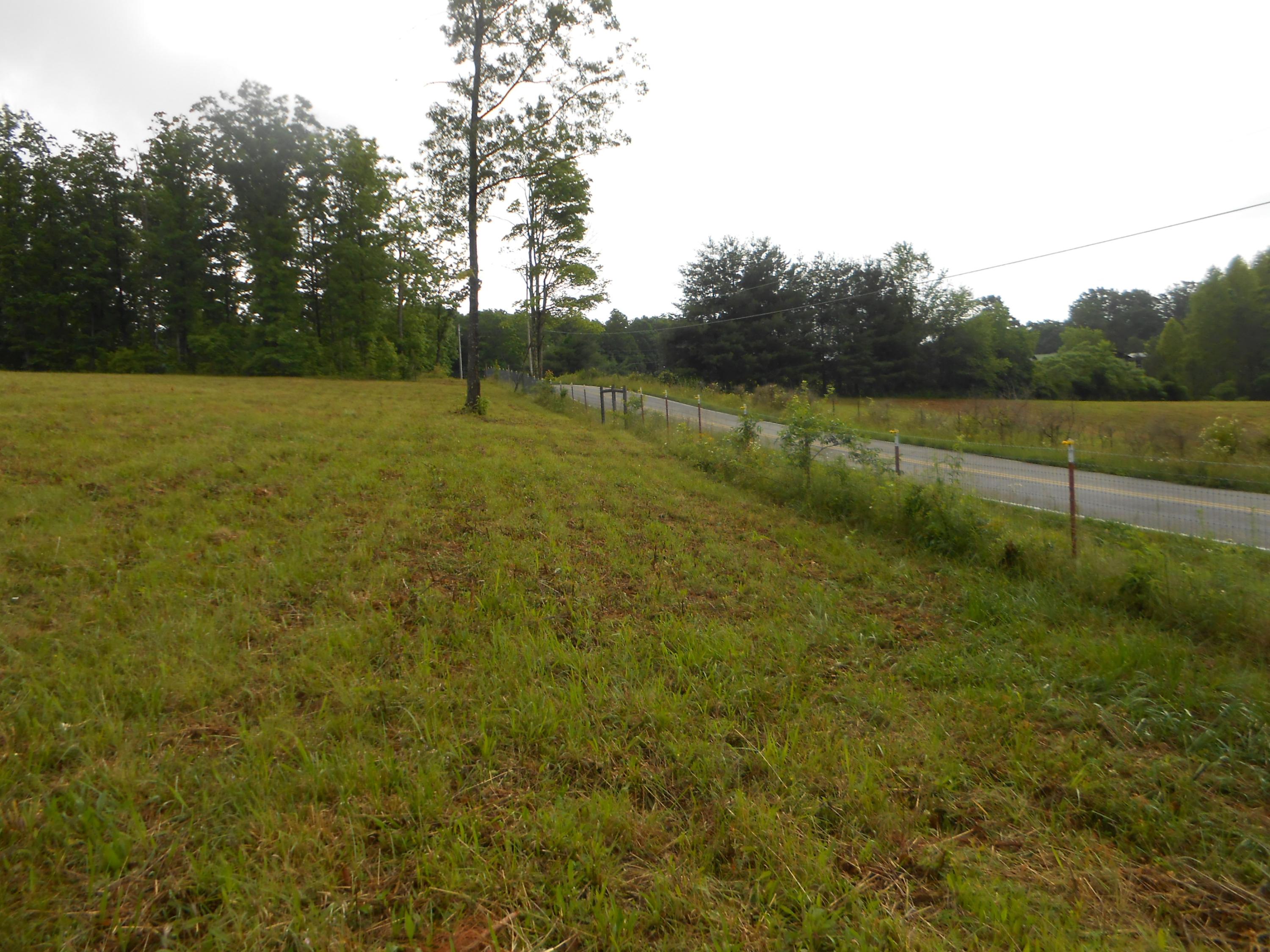 Pearl Hinds Road Jamestown, TN 38556 - Photo 5 of 20 DSCN7366