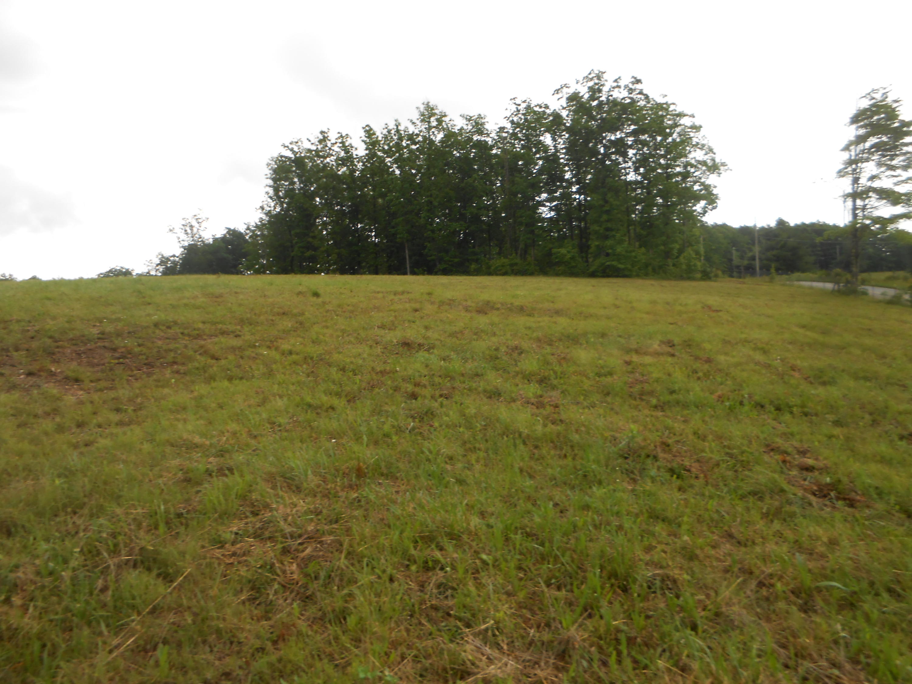 Pearl Hinds Road Jamestown, TN 38556 - Photo 6 of 20 DSCN7369