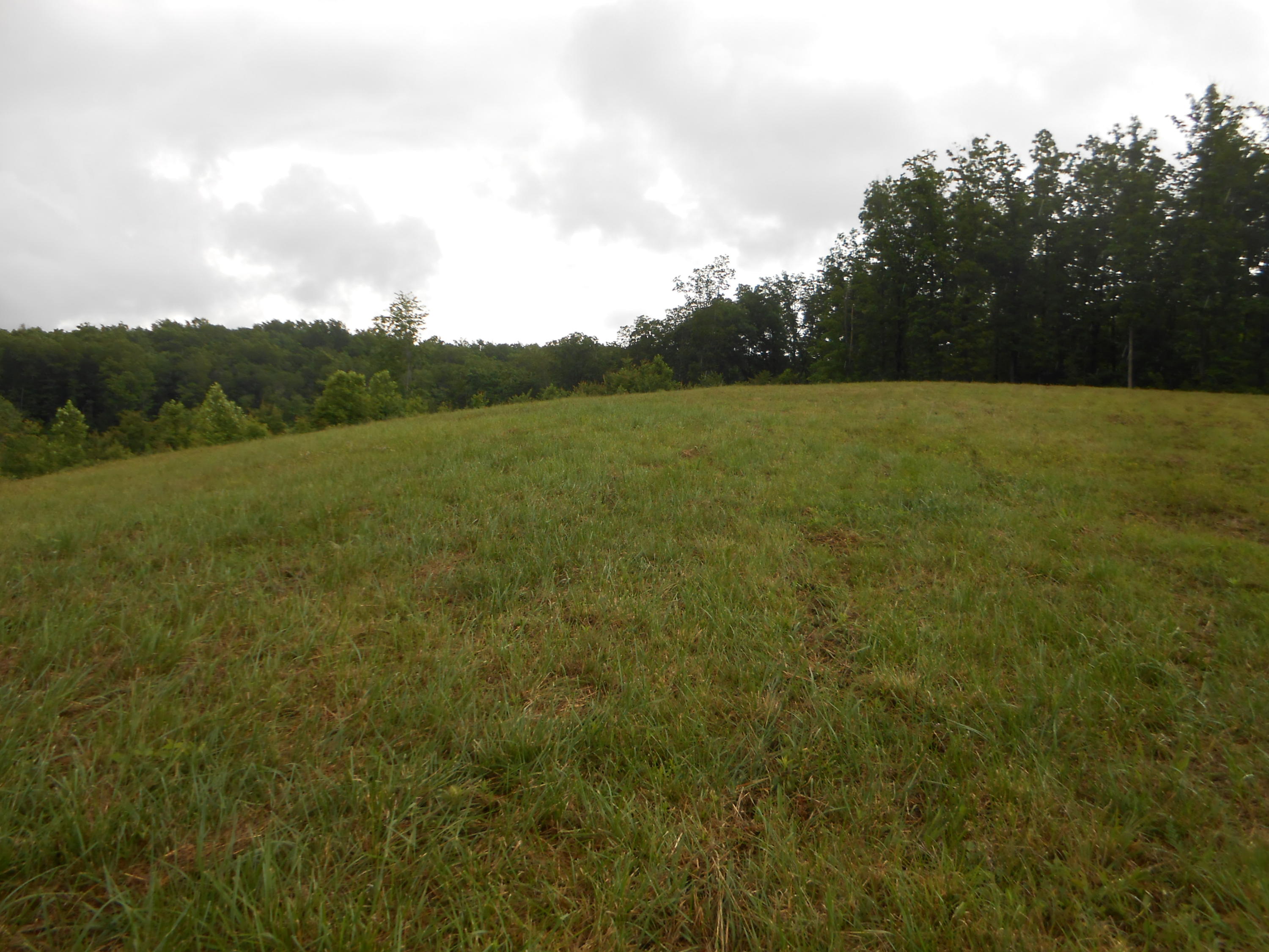 Pearl Hinds Road Jamestown, TN 38556 - Photo 9 of 20 DSCN7373