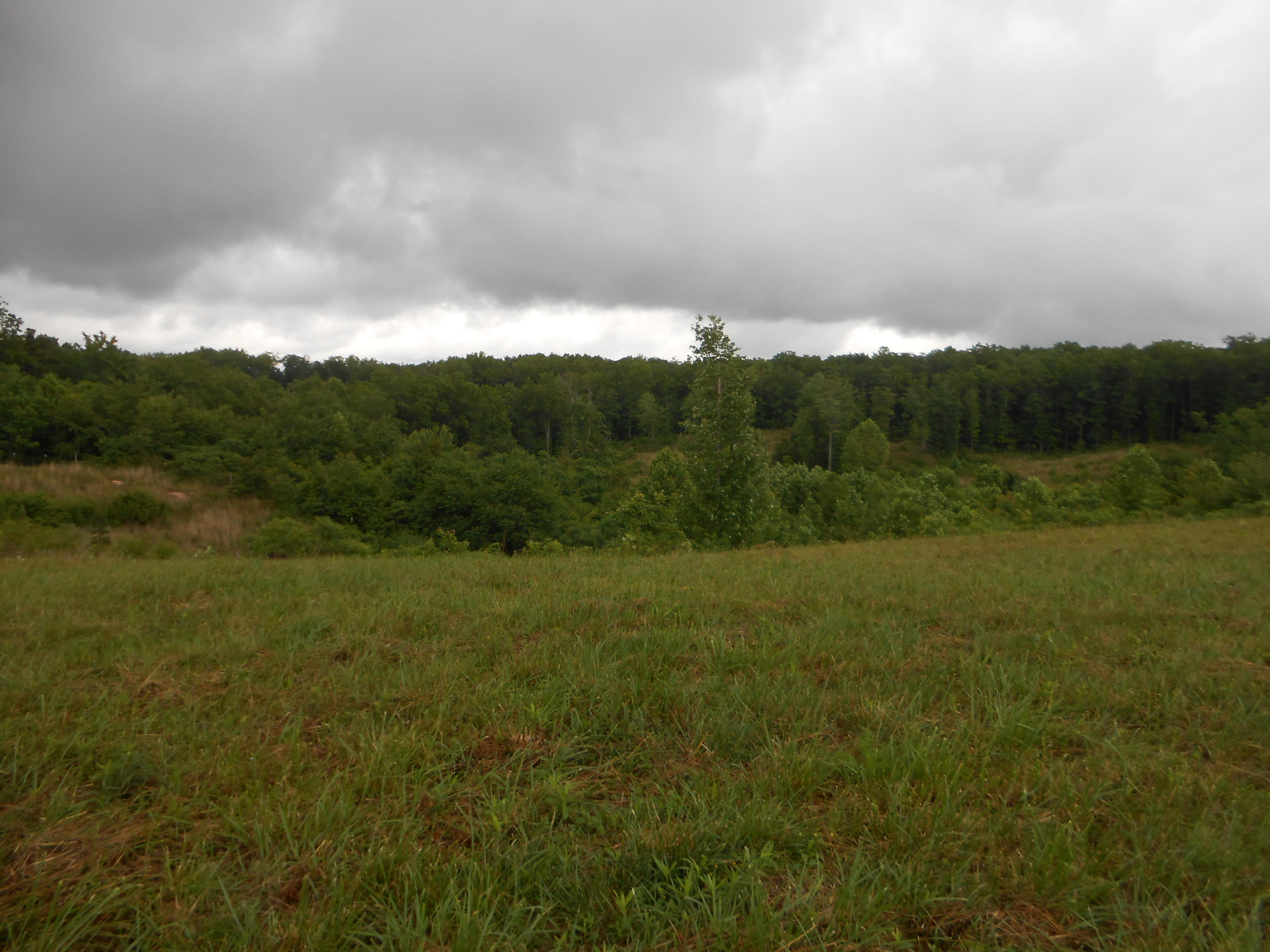 Pearl Hinds Road Jamestown, TN 38556 - Photo 10 of 20 DSCN7375