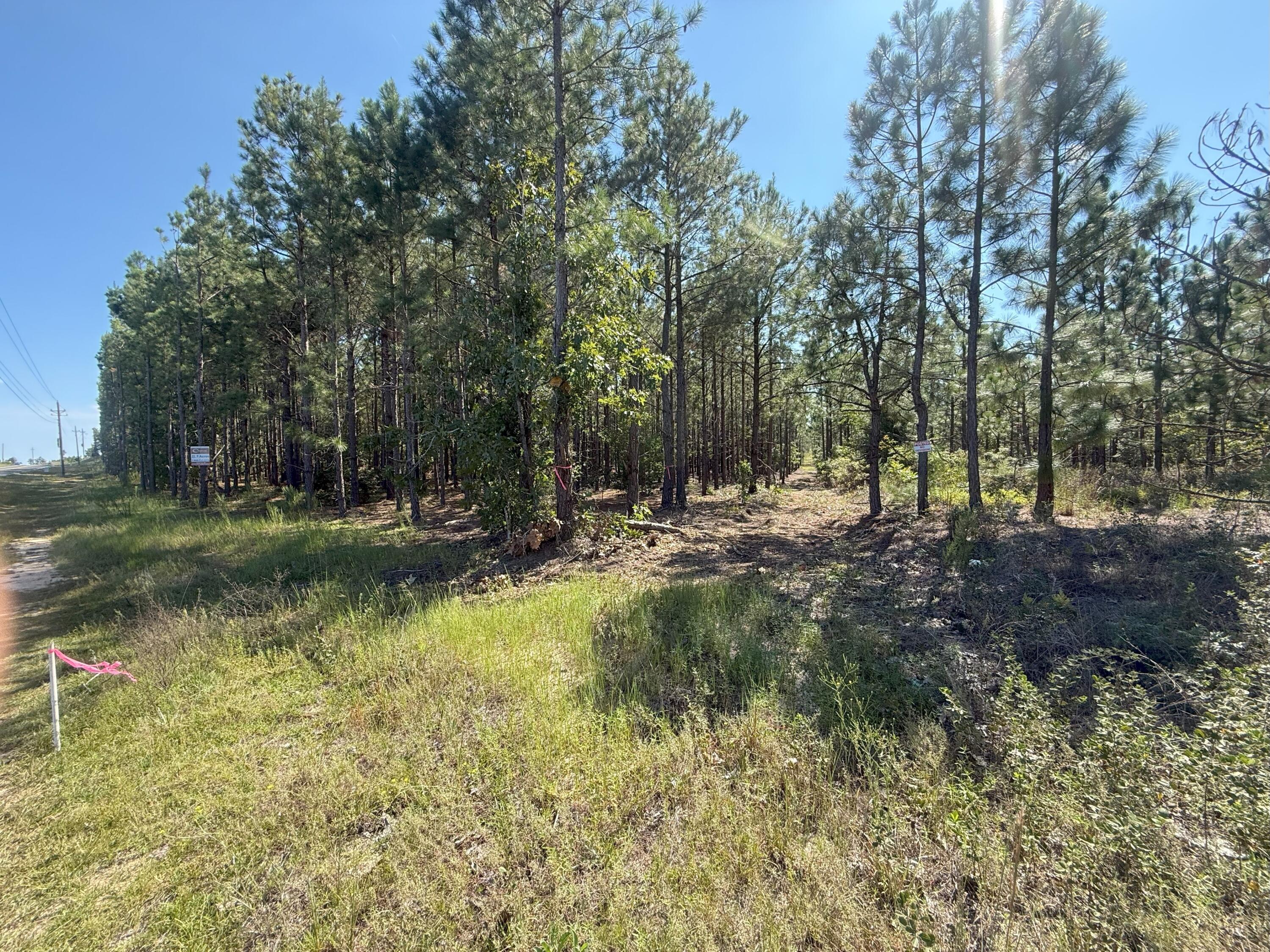 8 Providence Road, Unit KF 8 Kershaw, SC 29067 - Photo 11 of 15 IMG_2794