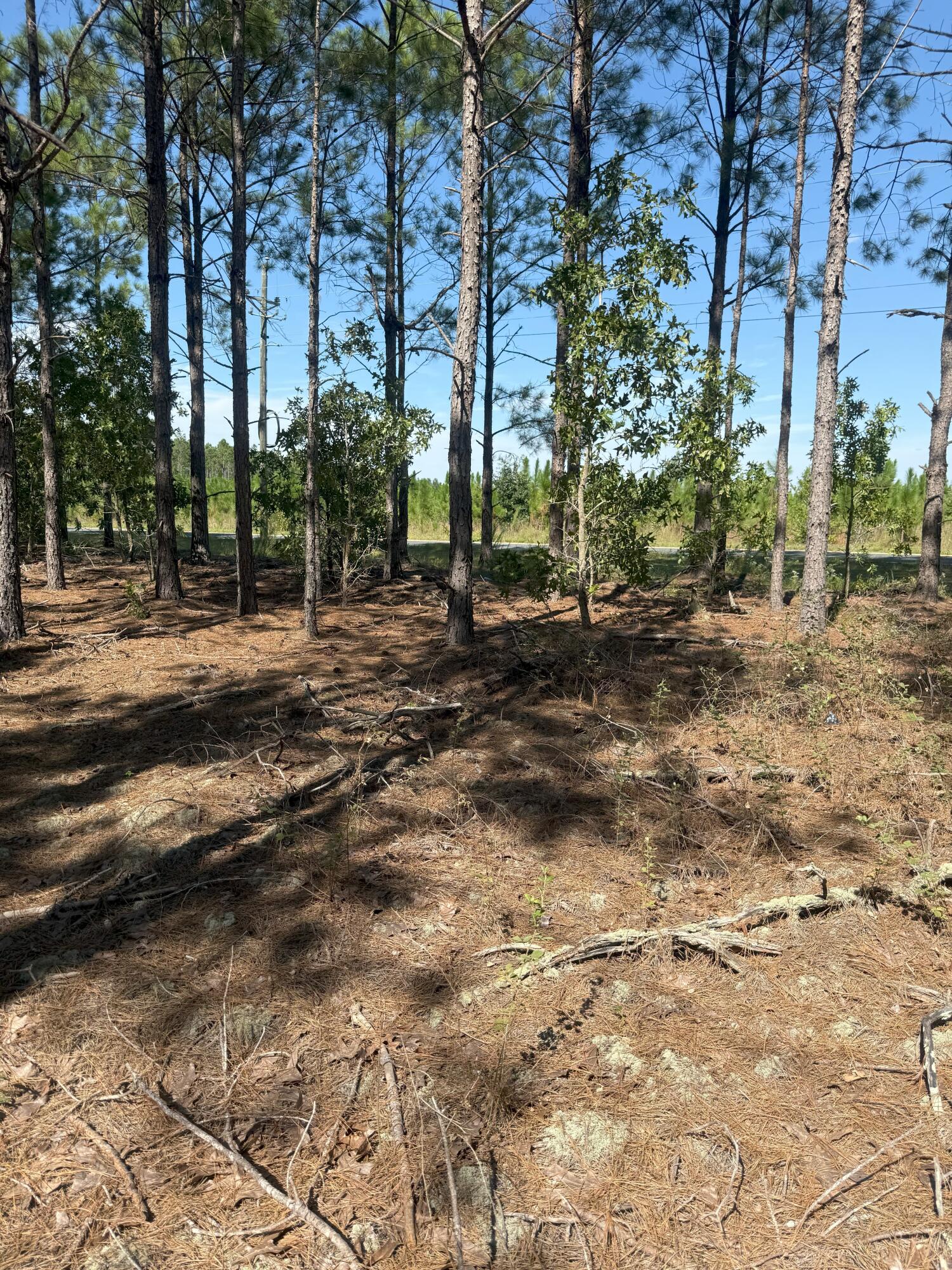 8 Providence Road, Unit KF 8 Kershaw, SC 29067 - Photo 14 of 15 IMG_2771